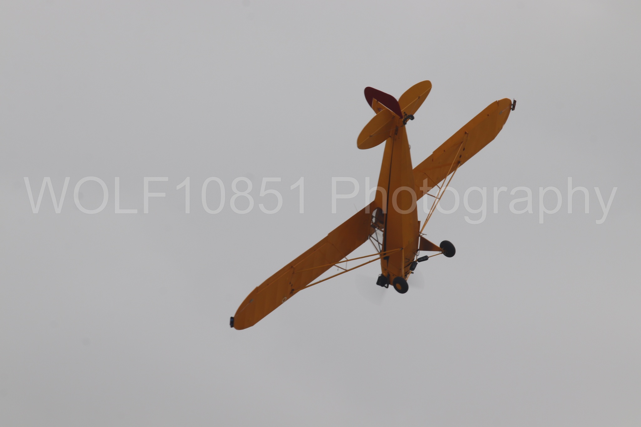Piper J-3 Cub | Tucker Air Patrol | WOLF10851 Photography