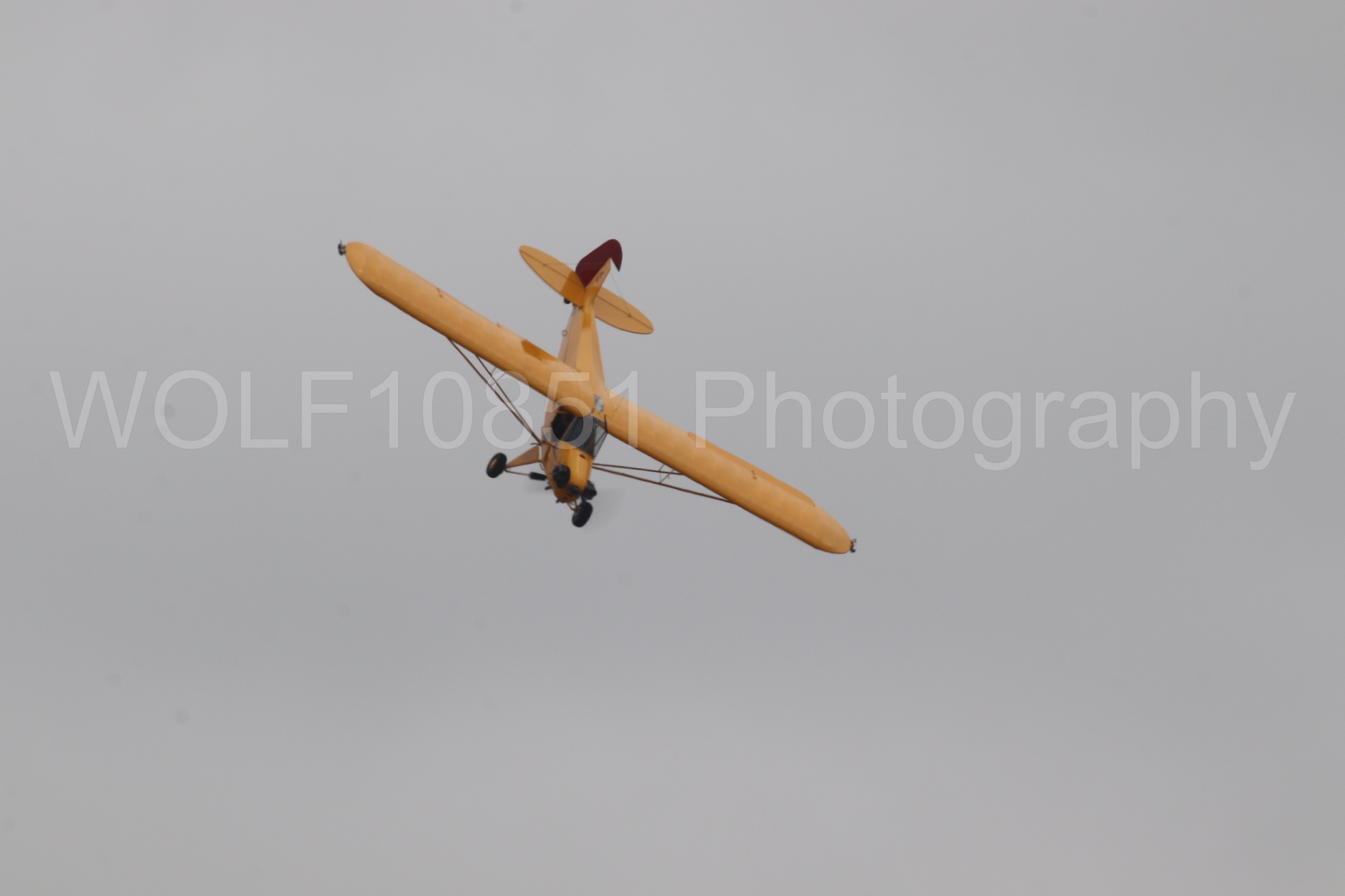 Piper J-3 Cub | Tucker Air Patrol | WOLF10851 Photography