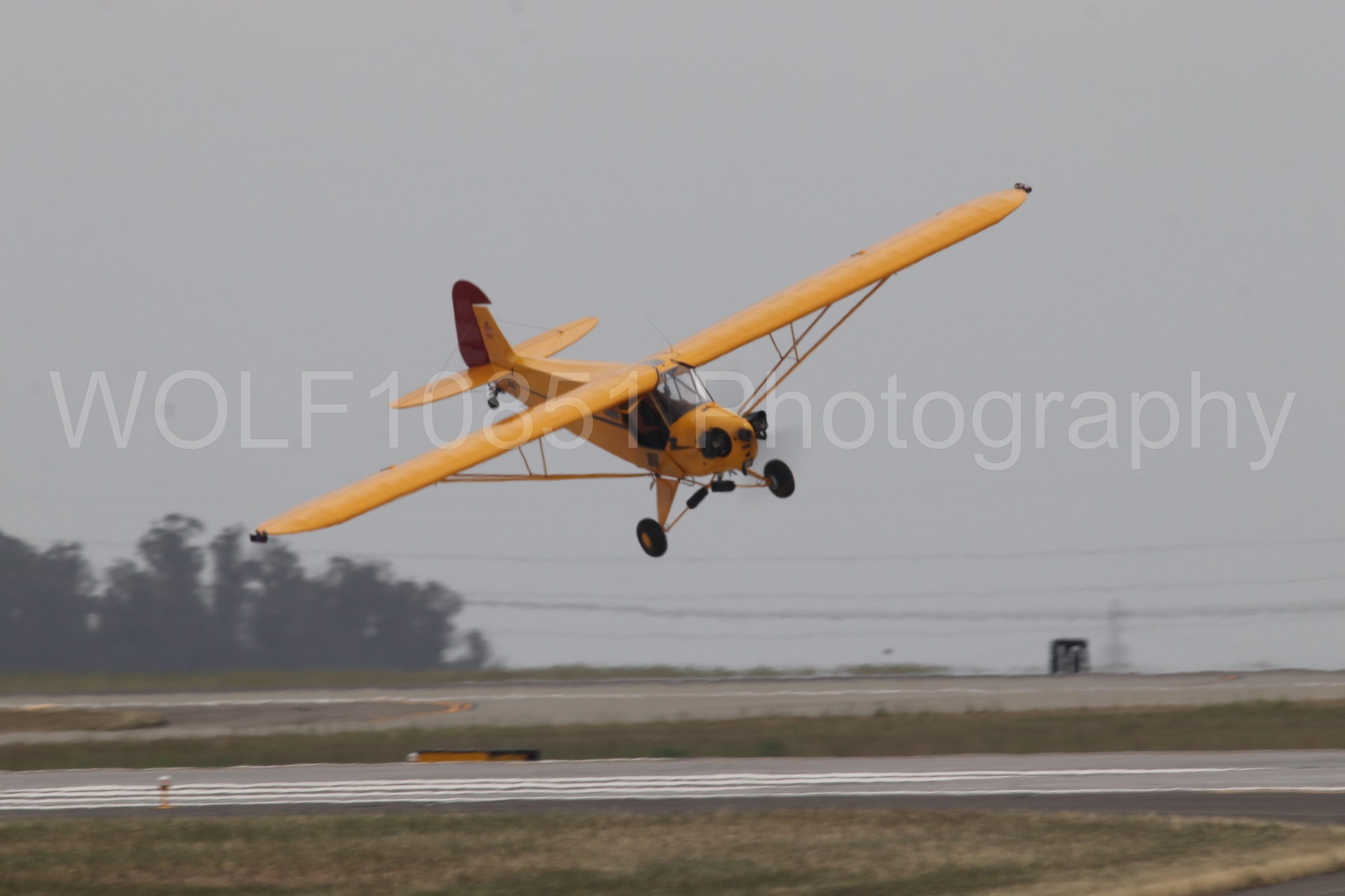 Piper J-3 Cub | Tucker Air Patrol | WOLF10851 Photography