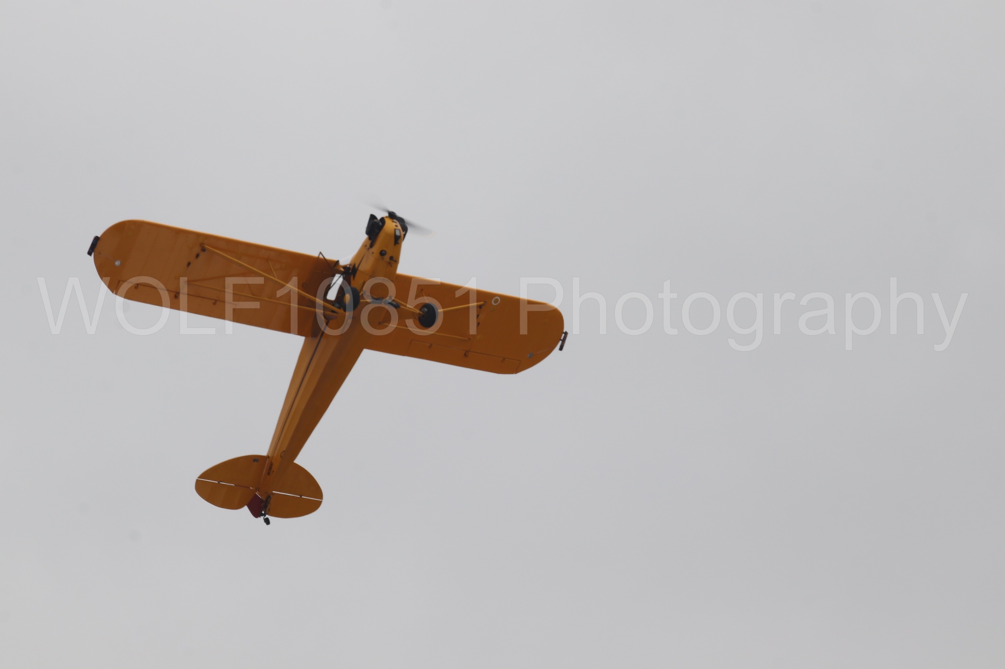 Piper J-3 Cub | Tucker Air Patrol | WOLF10851 Photography