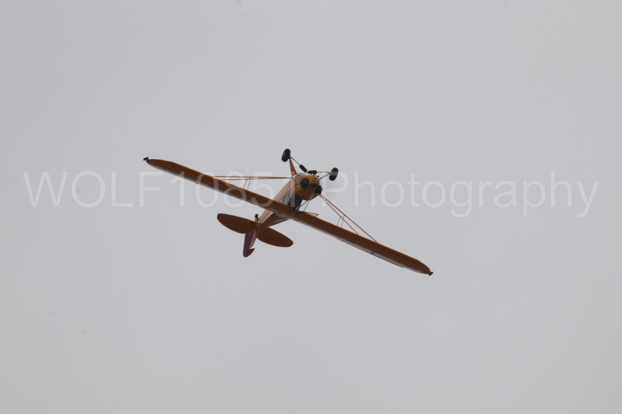 Piper J-3 Cub | Tucker Air Patrol | WOLF10851 Photography