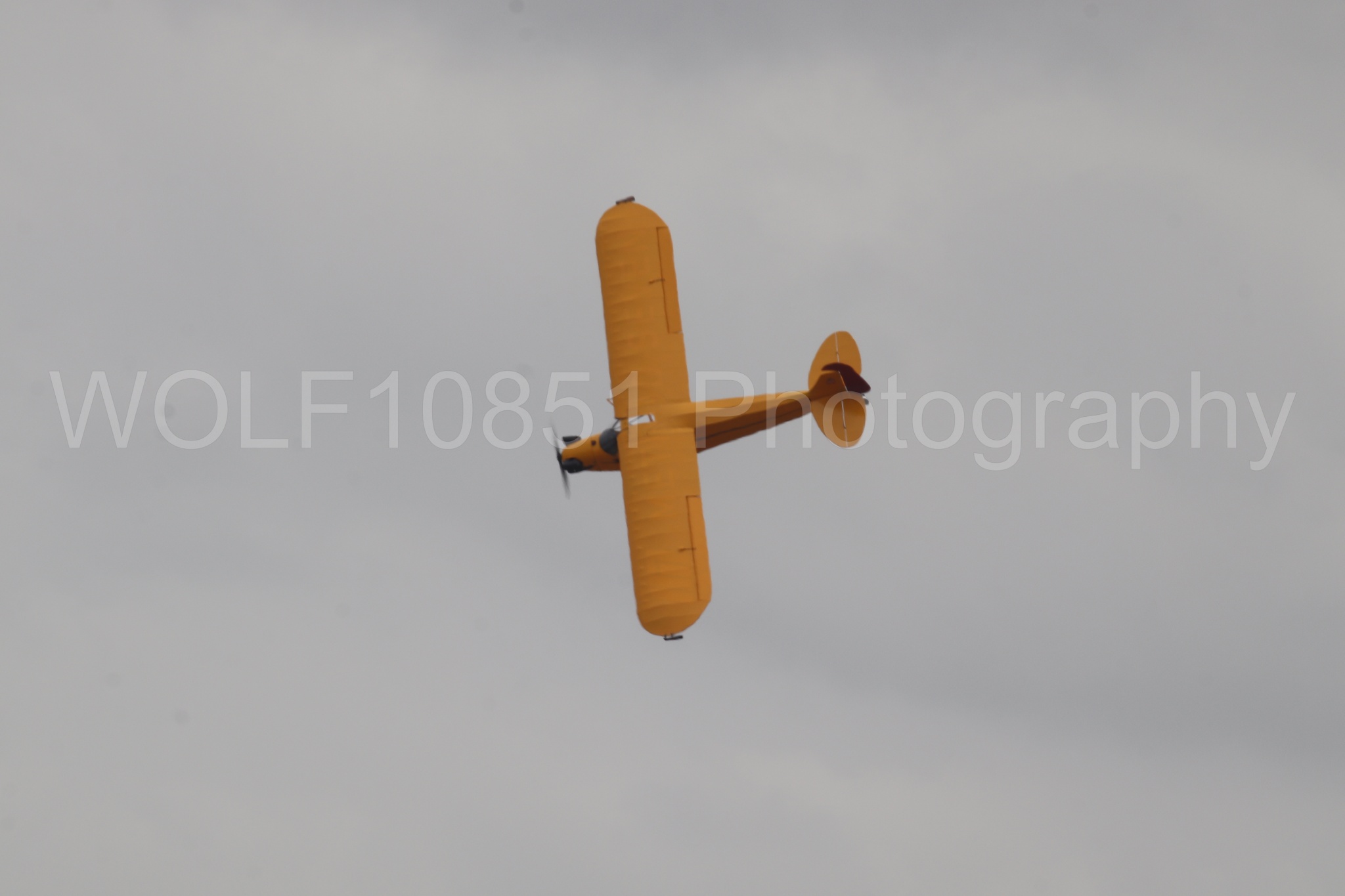 Piper J-3 Cub | Tucker Air Patrol | WOLF10851 Photography