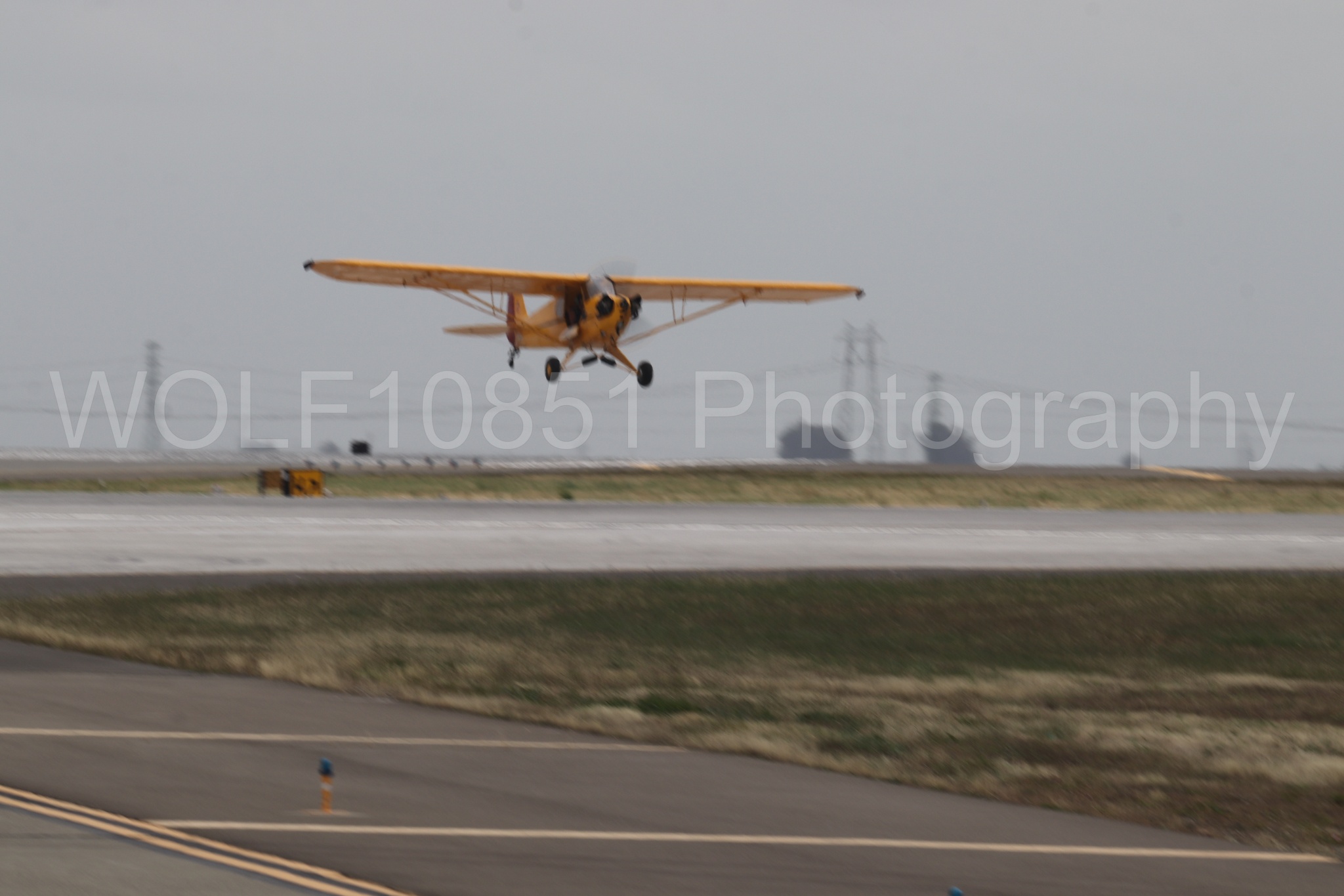Piper J-3 Cub | Tucker Air Patrol | WOLF10851 Photography