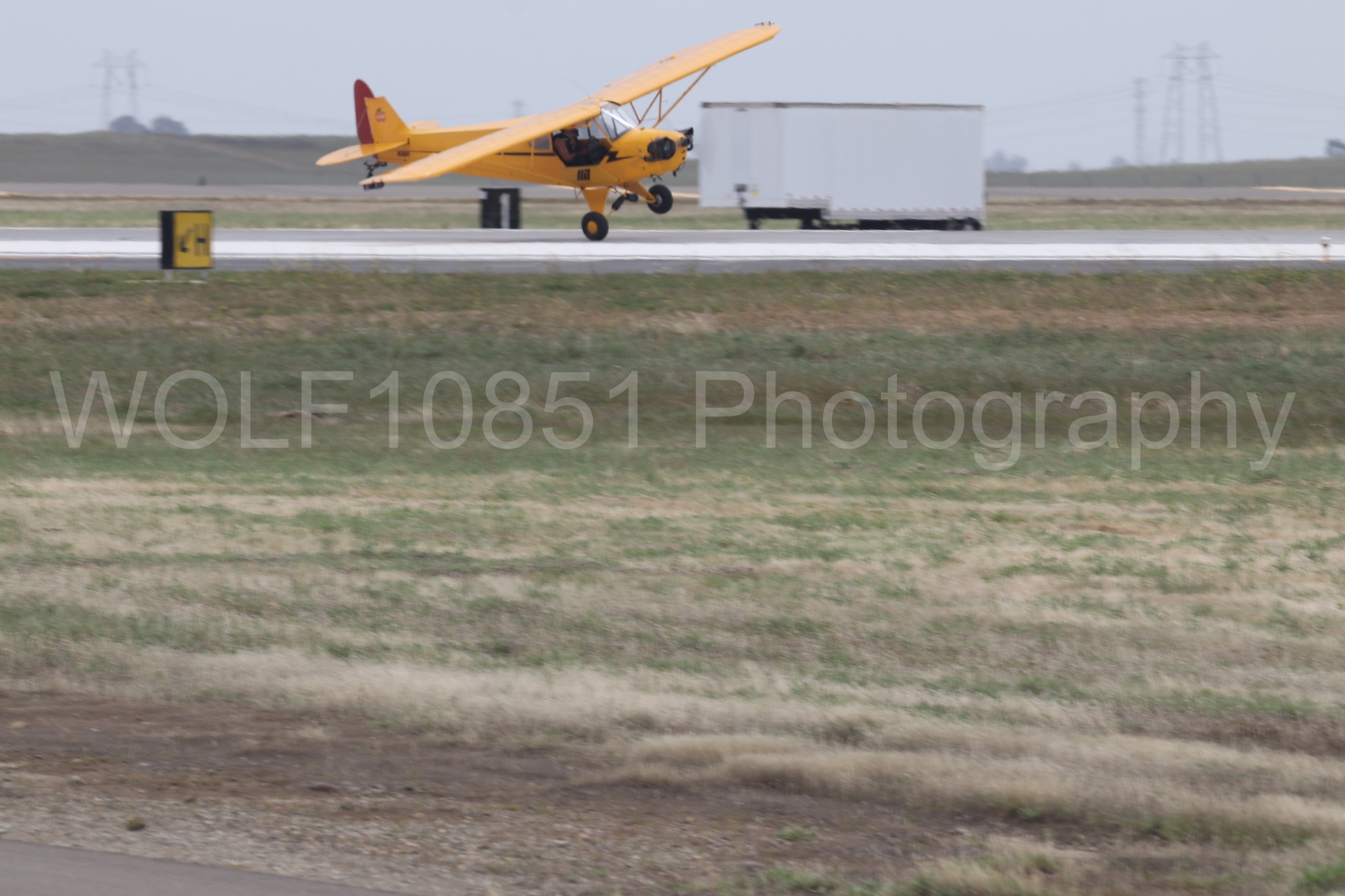 Piper J-3 Cub | Tucker Air Patrol | WOLF10851 Photography