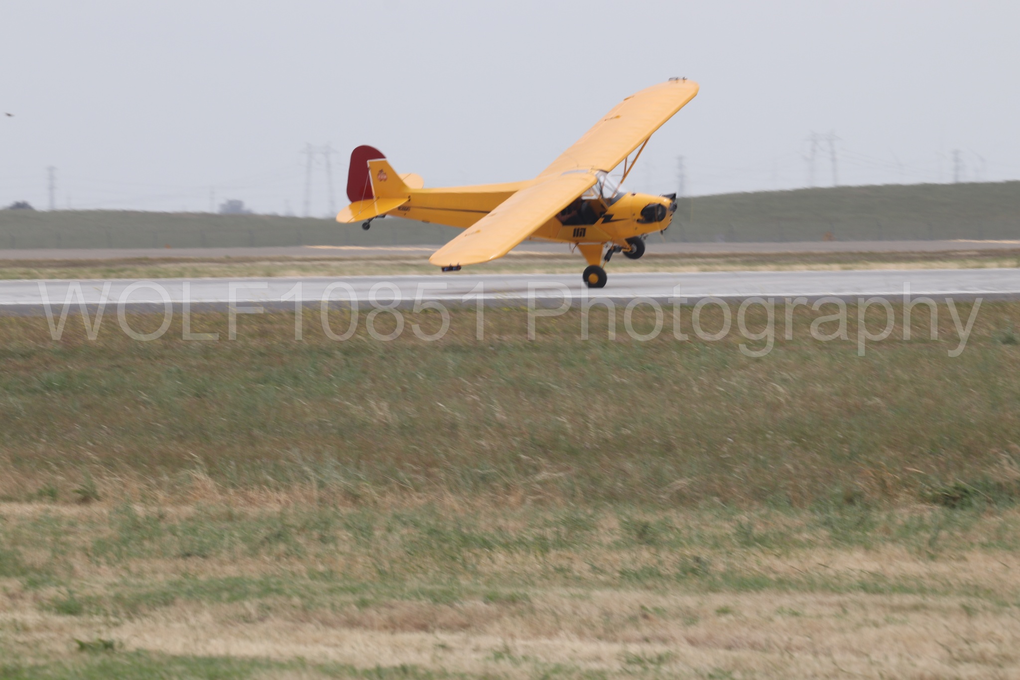 Piper J-3 Cub | Tucker Air Patrol | WOLF10851 Photography