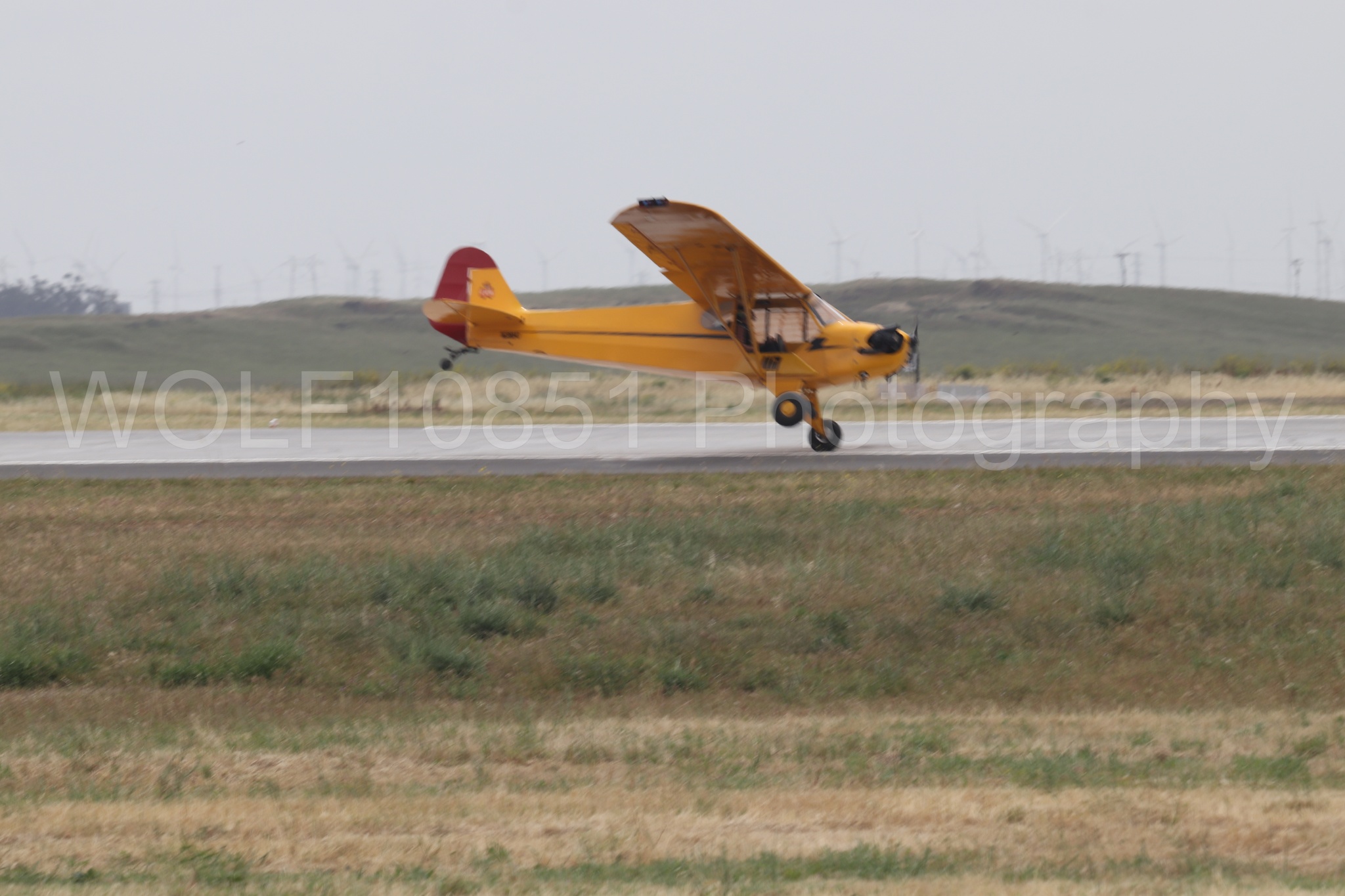Piper J-3 Cub | Tucker Air Patrol | WOLF10851 Photography