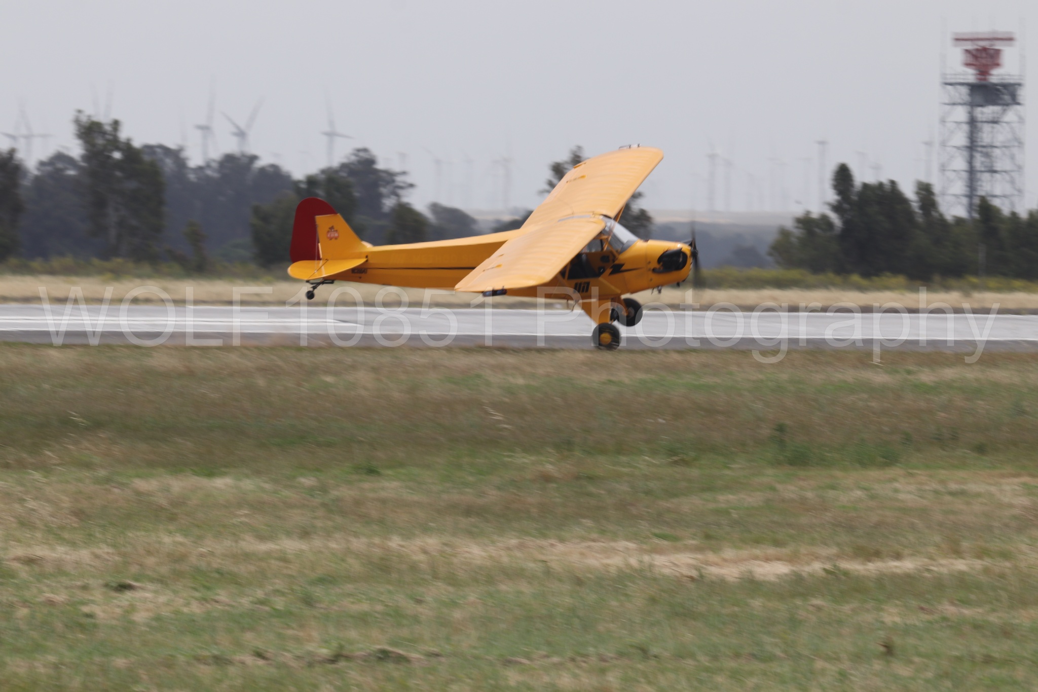 Piper J-3 Cub | Tucker Air Patrol | WOLF10851 Photography