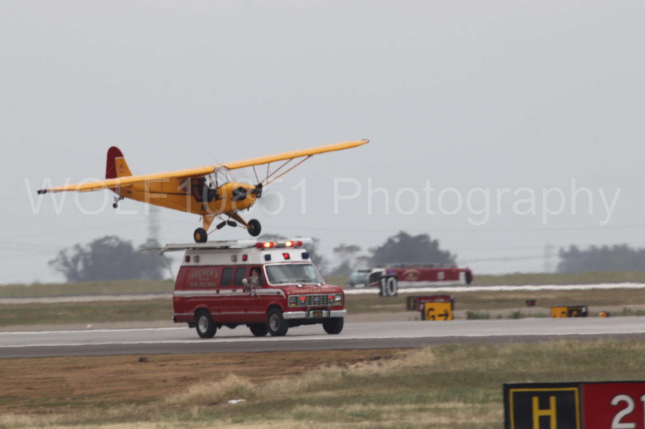 Piper J-3 Cub | Tucker Air Patrol | WOLF10851 Photography