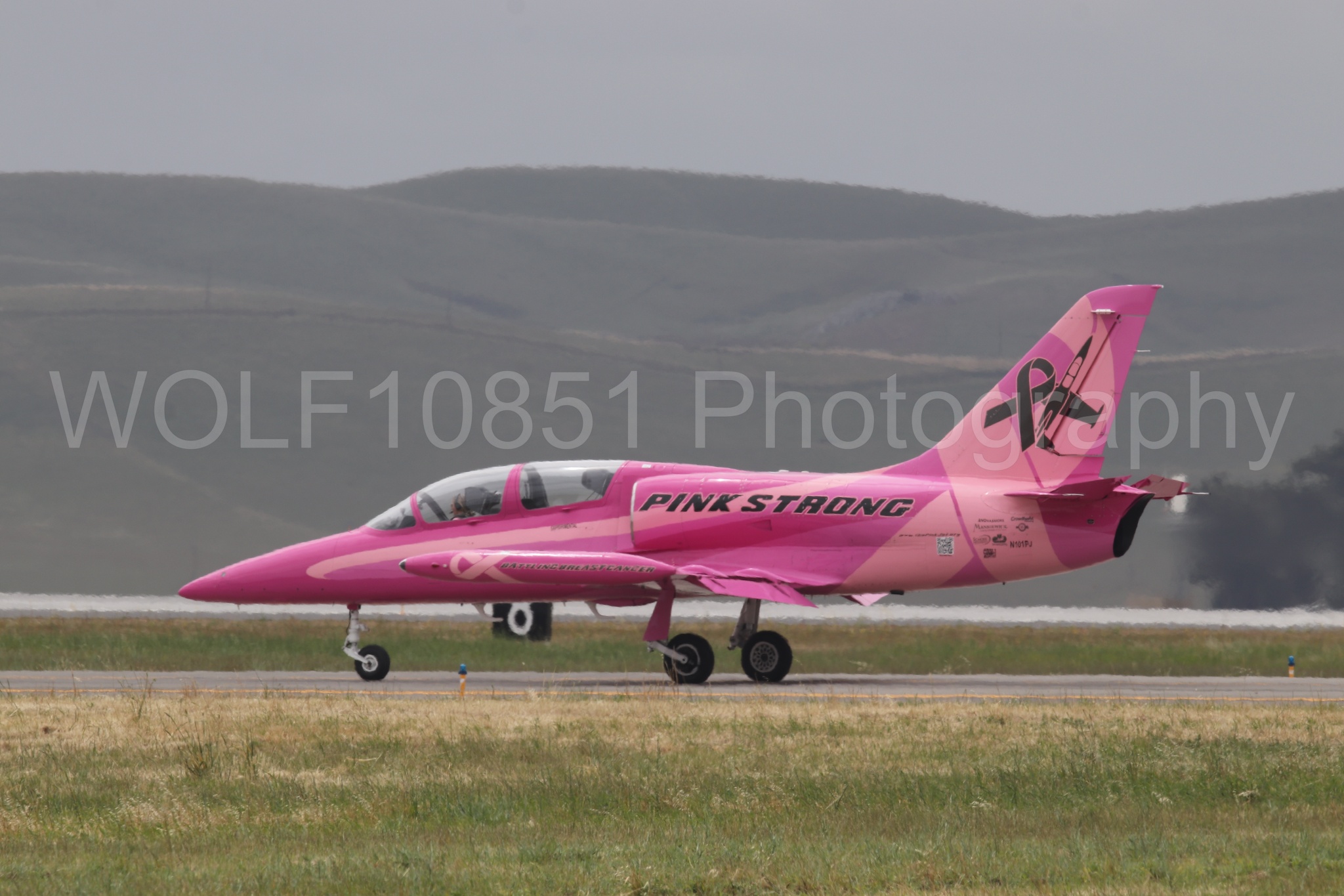 L-39 Albatros | WOLF10851 Photography