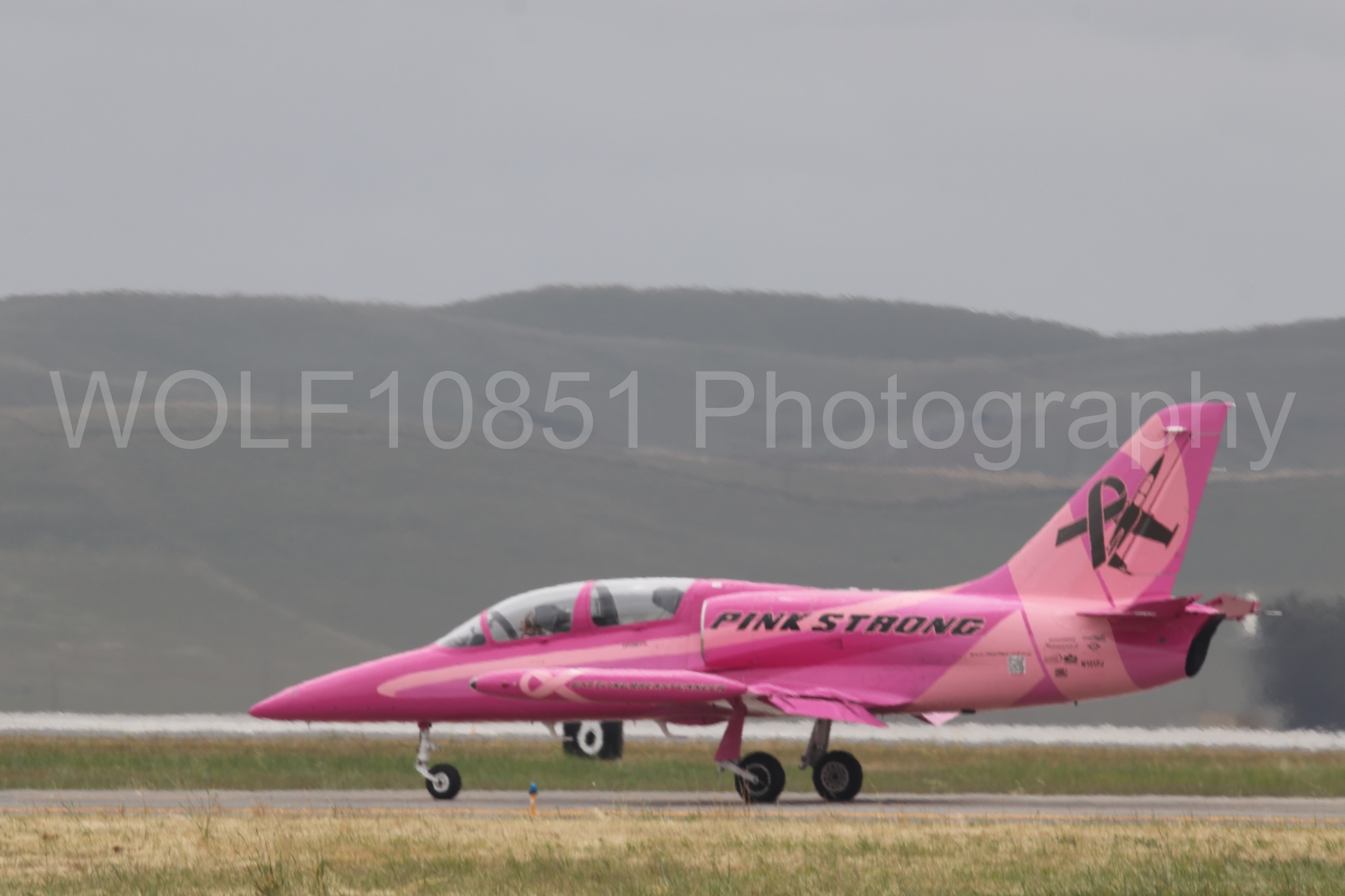 L-39 Albatros | WOLF10851 Photography