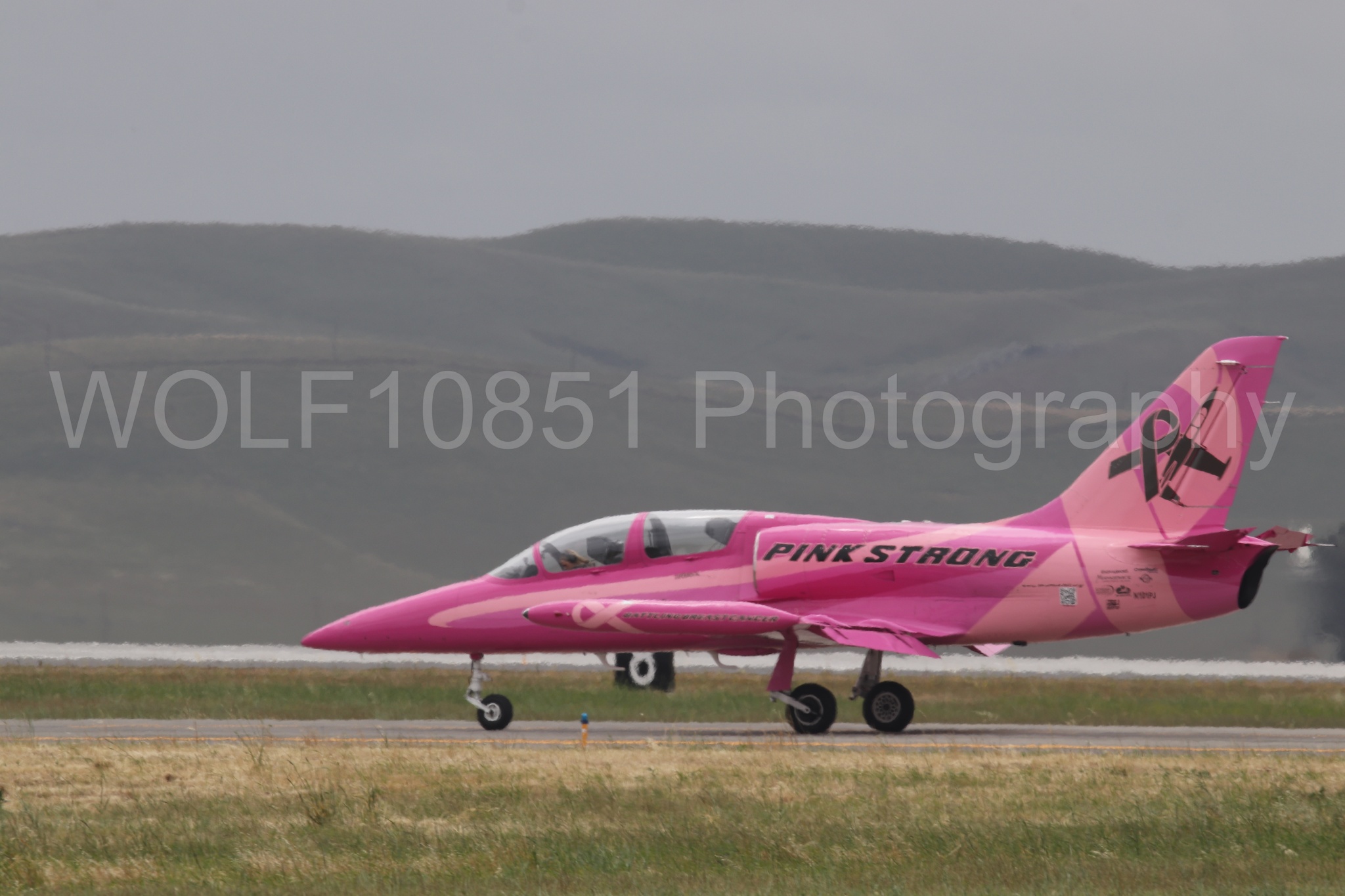 L-39 Albatros | WOLF10851 Photography