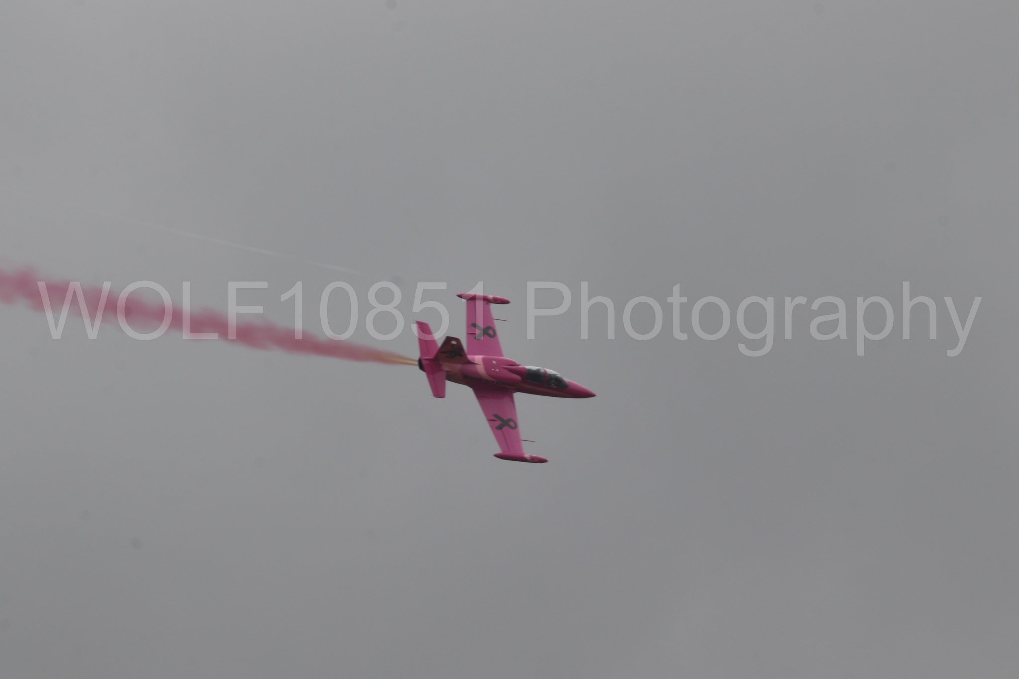 L-39 Albatros | WOLF10851 Photography