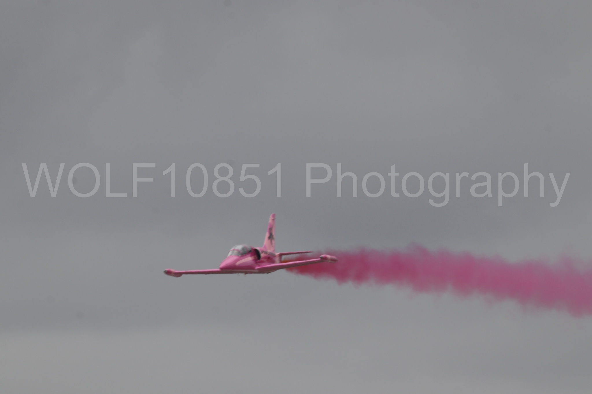 L-39 Albatros | WOLF10851 Photography