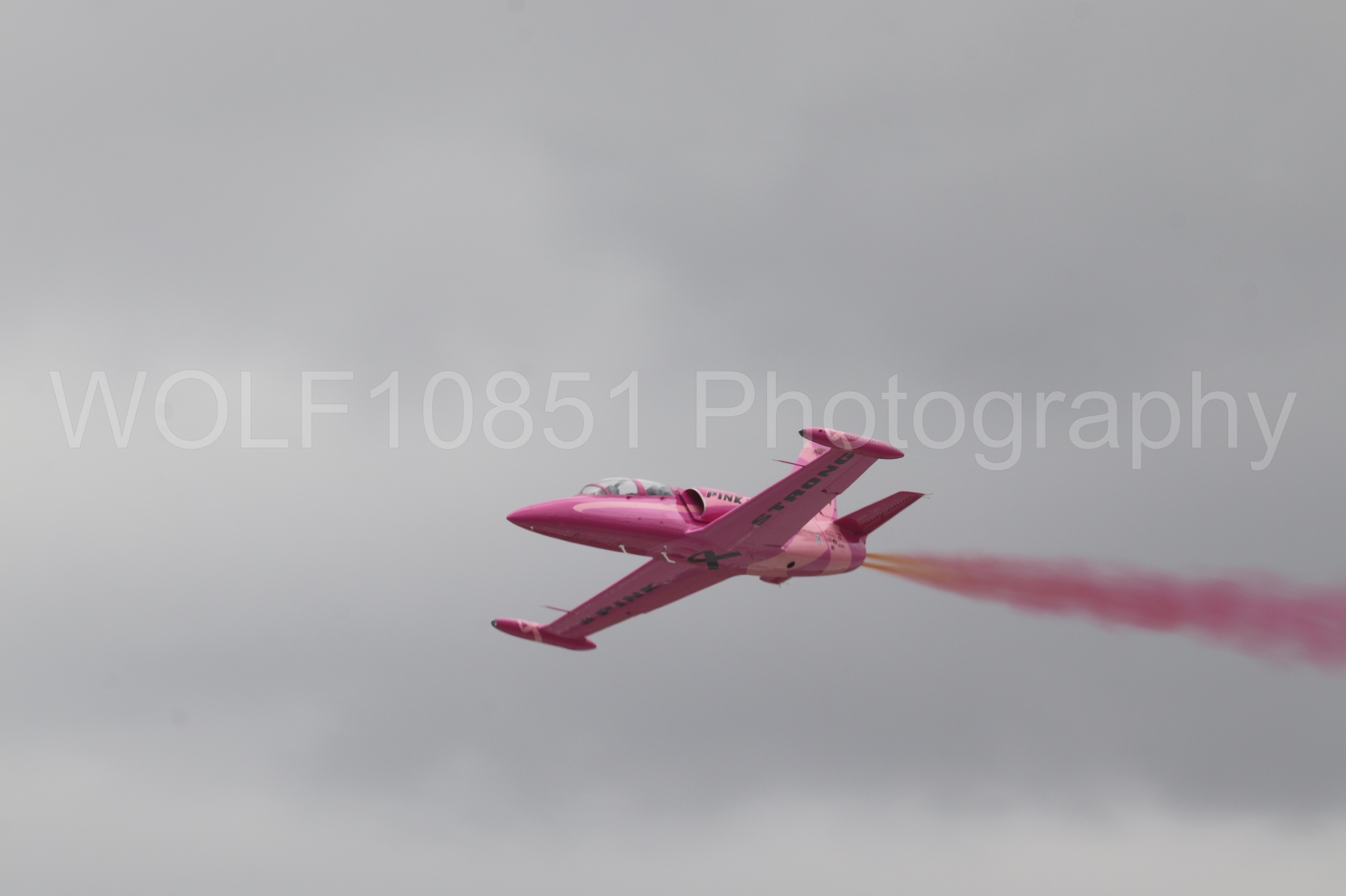 L-39 Albatros | WOLF10851 Photography