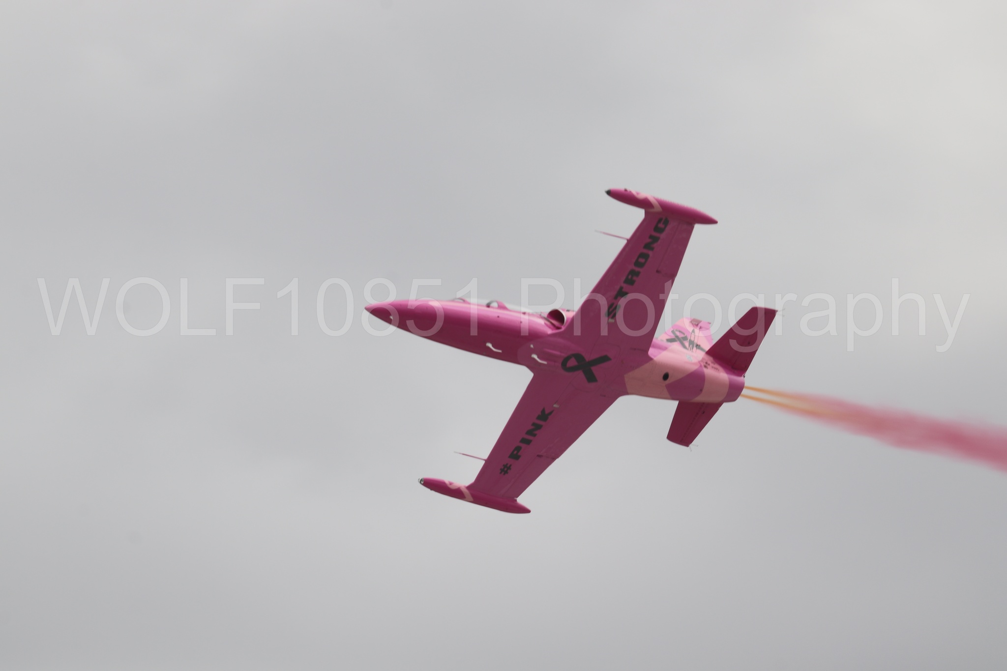 L-39 Albatros | WOLF10851 Photography