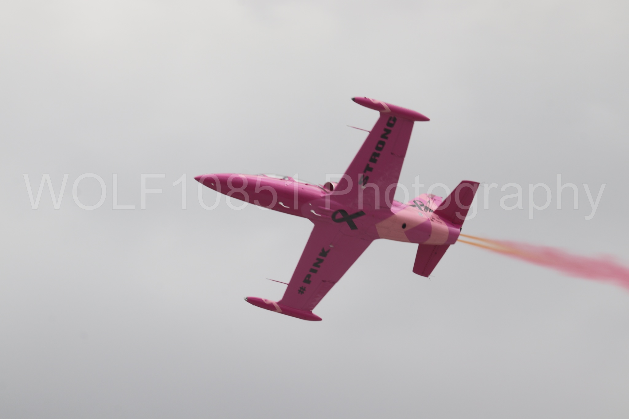 L-39 Albatros | WOLF10851 Photography