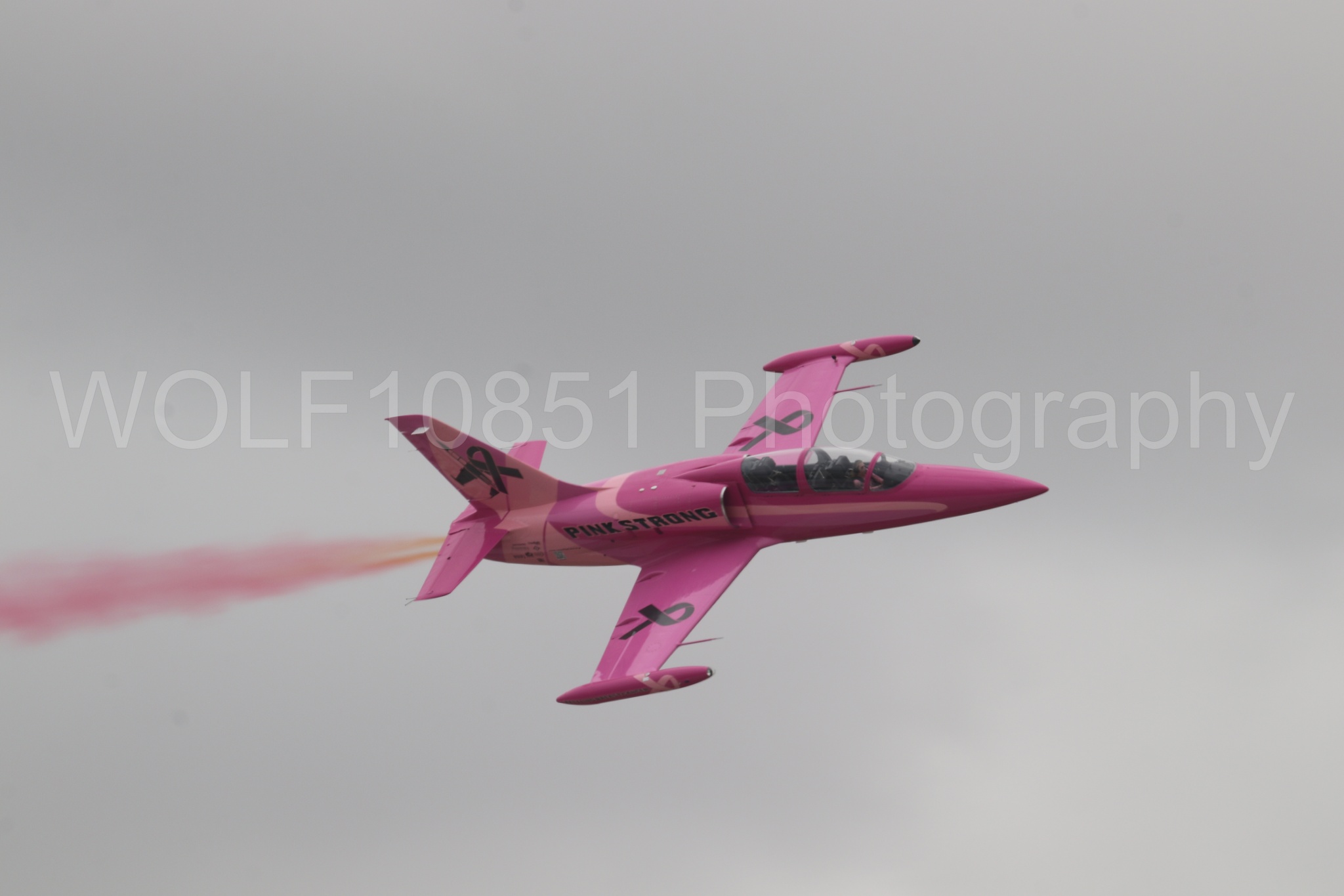 L-39 Albatros | WOLF10851 Photography