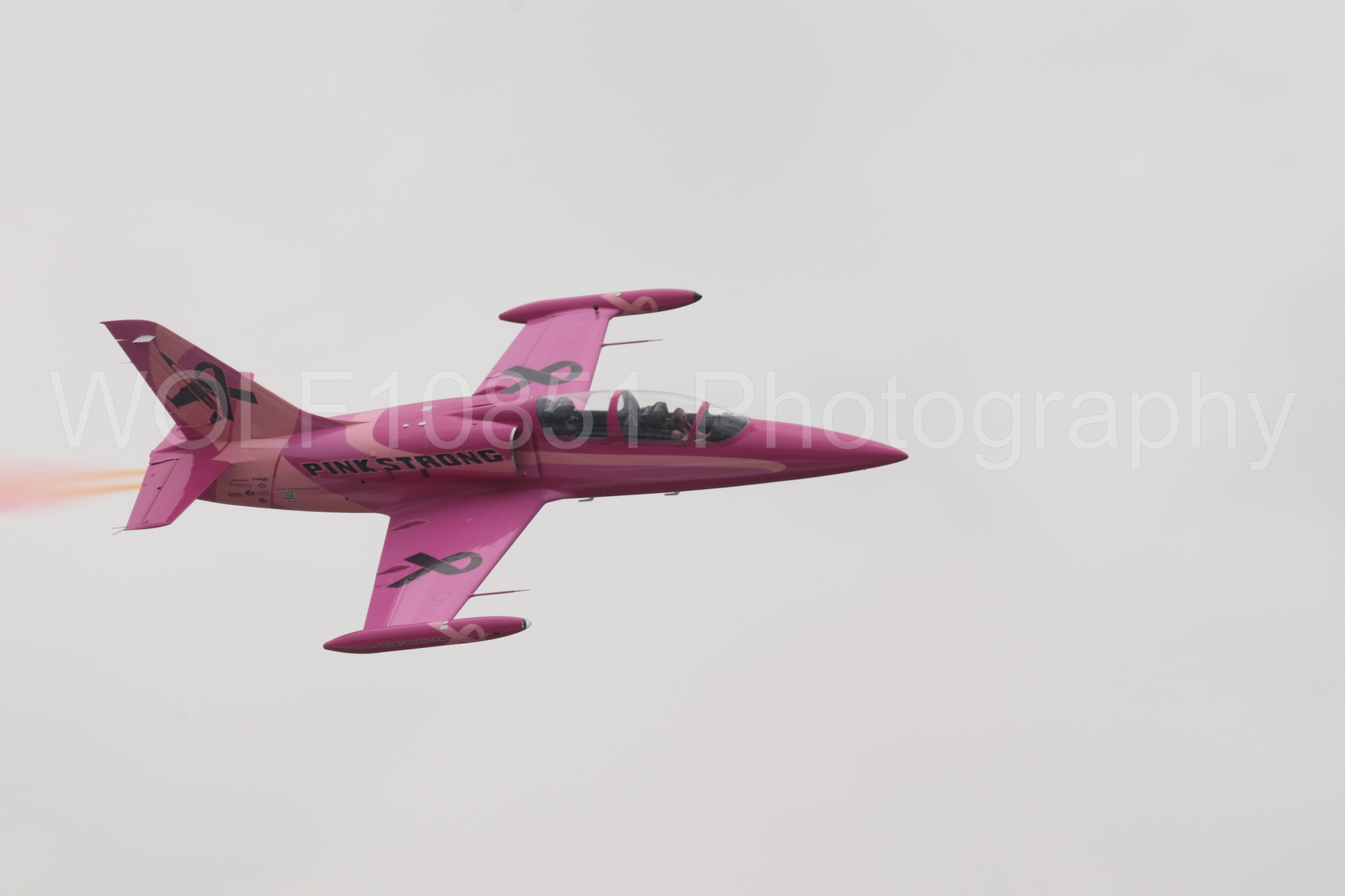 L-39 Albatros | WOLF10851 Photography