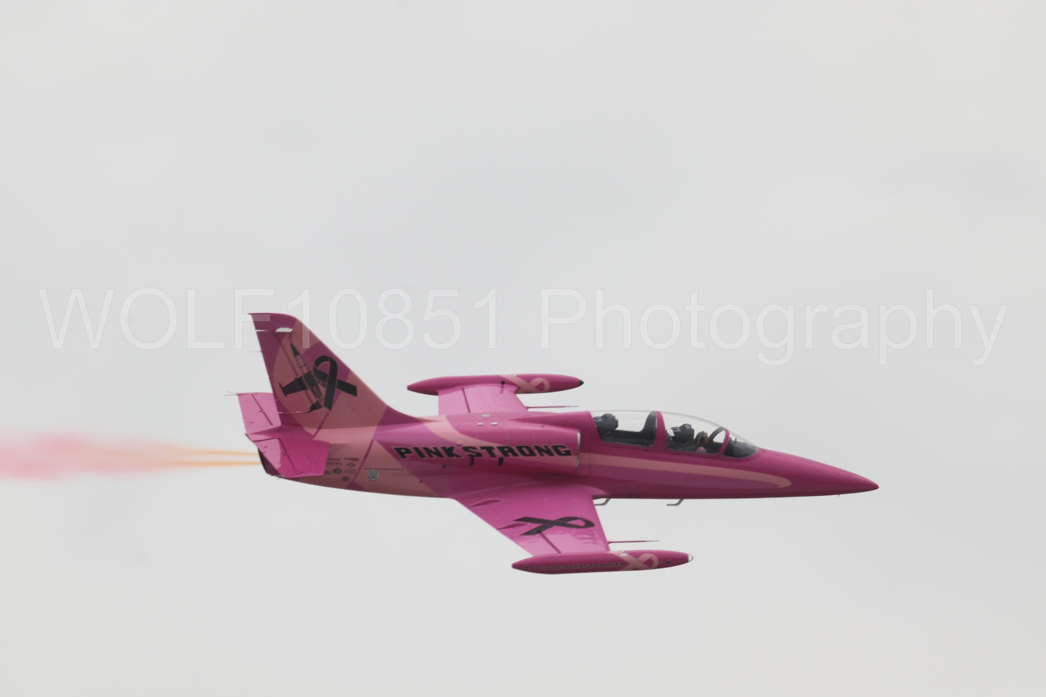 L-39 Albatros | WOLF10851 Photography