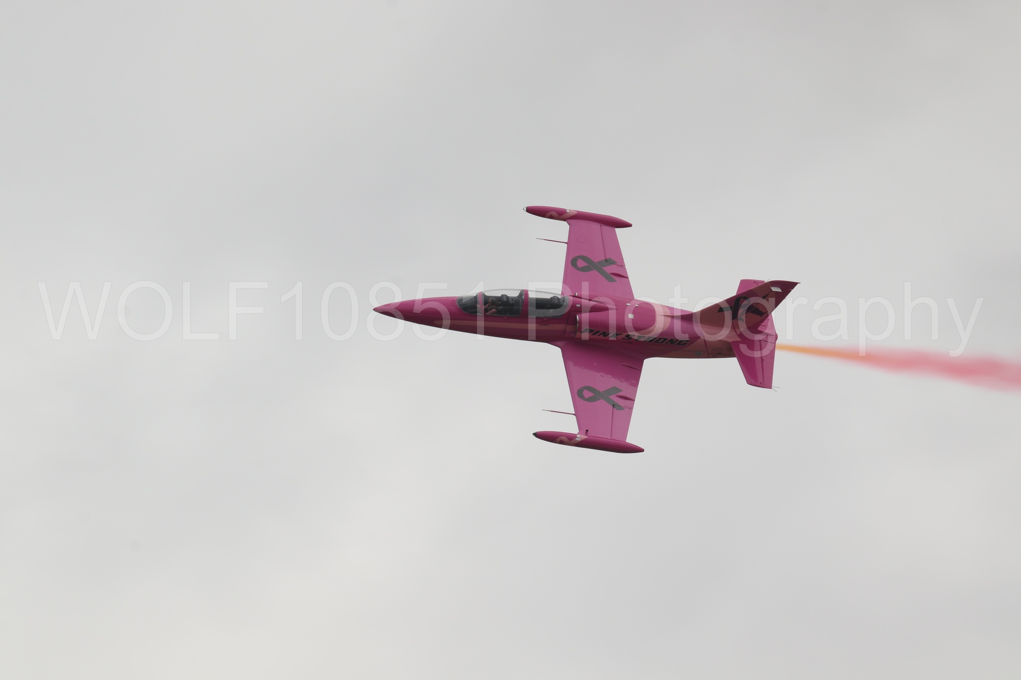 L-39 Albatros | WOLF10851 Photography