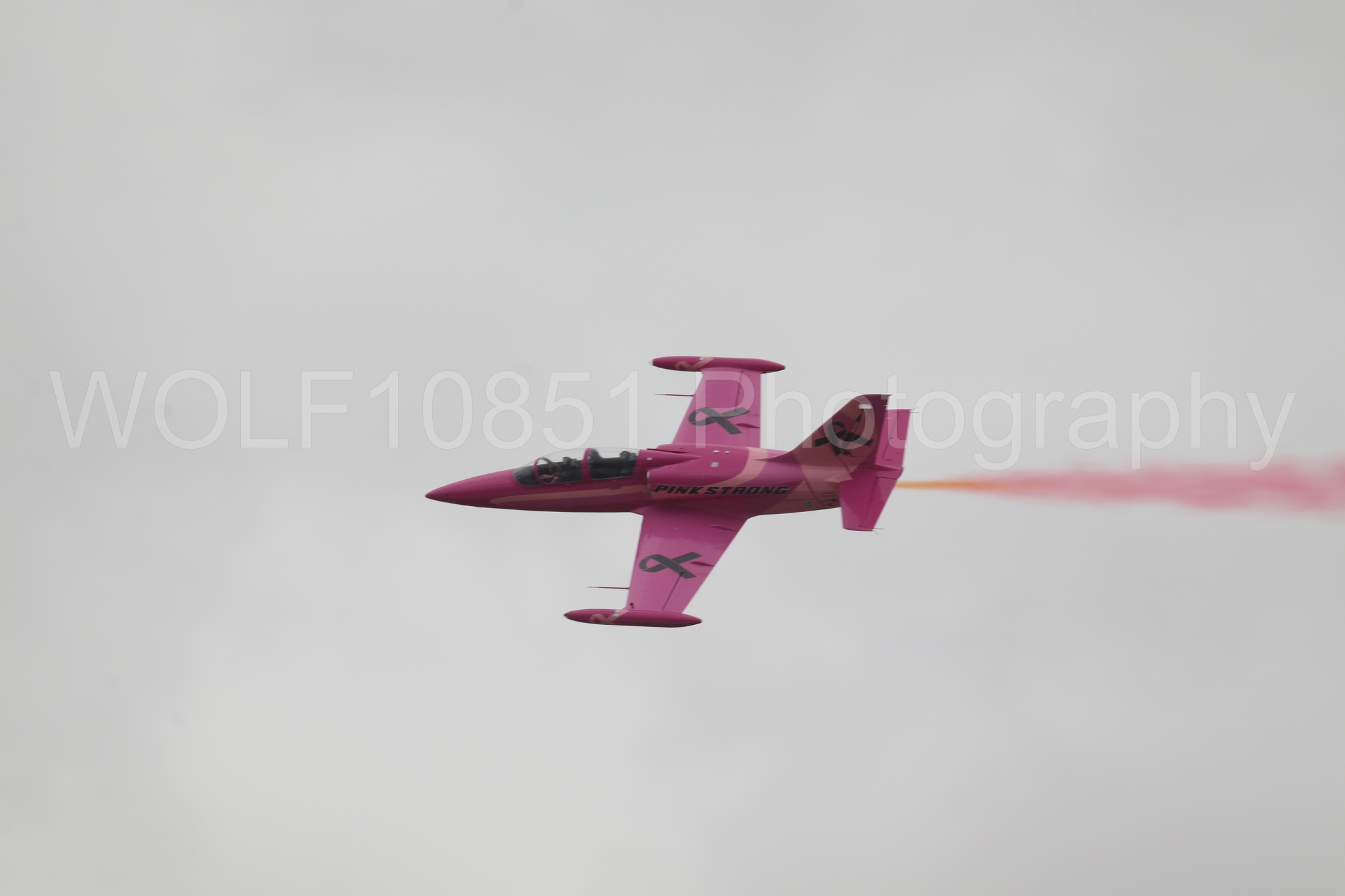 L-39 Albatros | WOLF10851 Photography