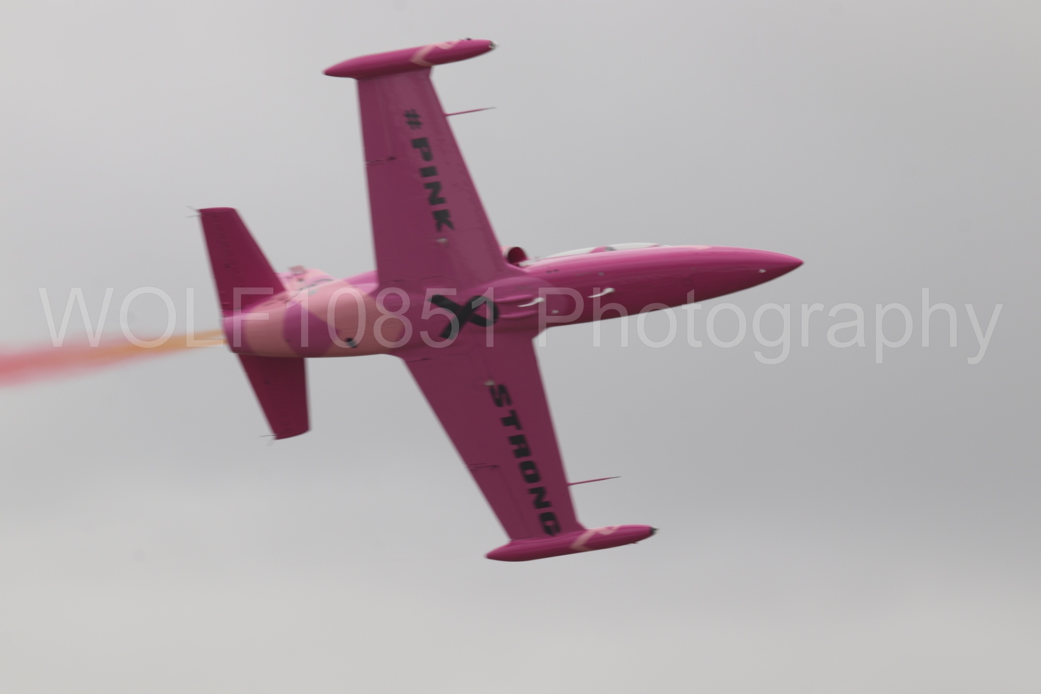L-39 Albatros | WOLF10851 Photography