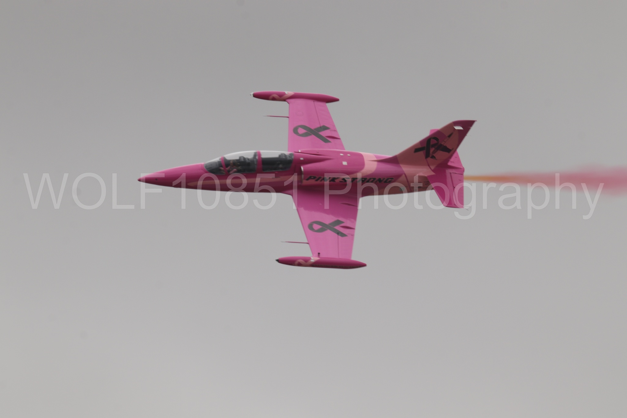 L-39 Albatros | WOLF10851 Photography