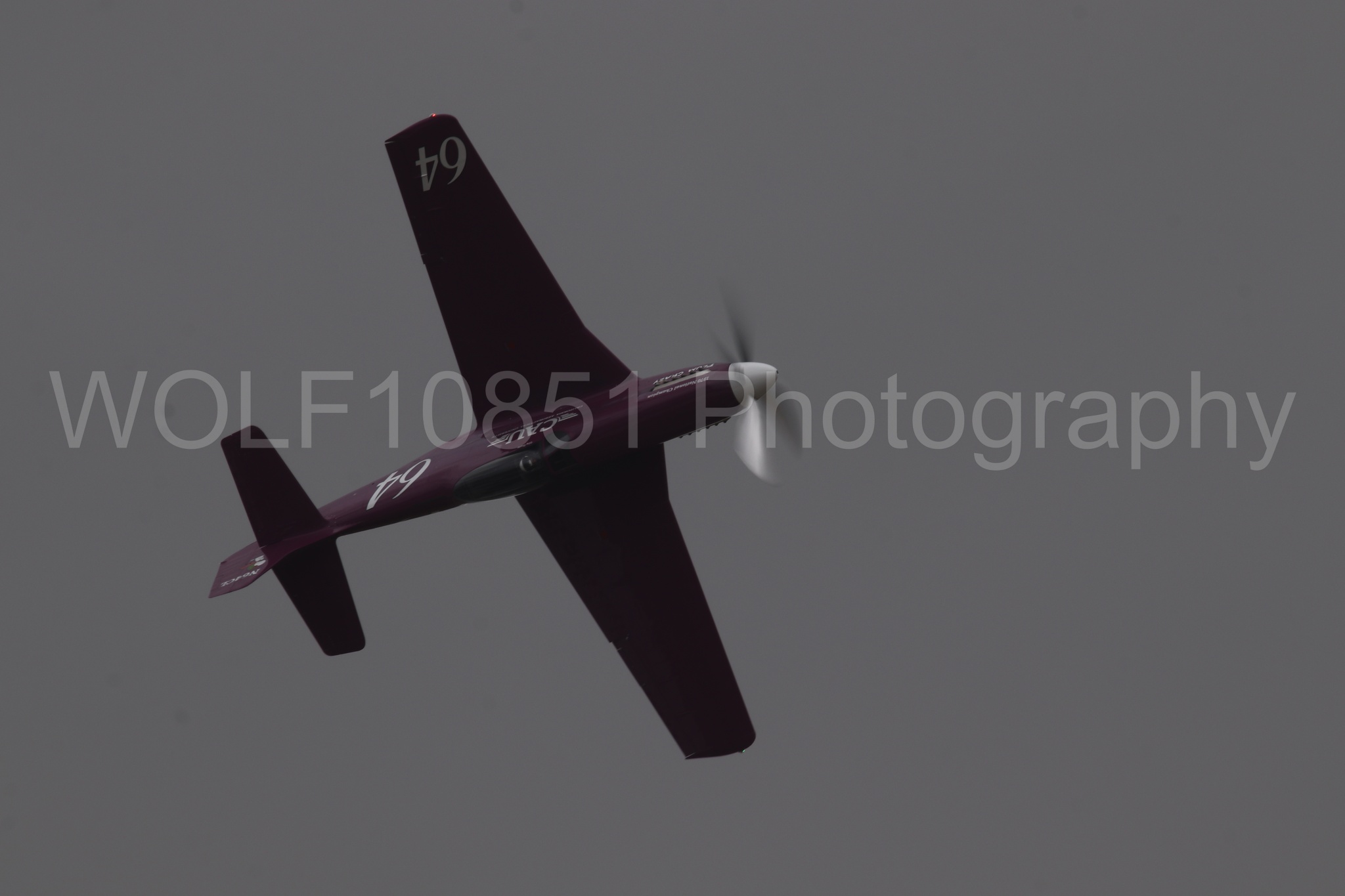 P-51 Mustang | Vicky Benzing | WOLF10851 Photography