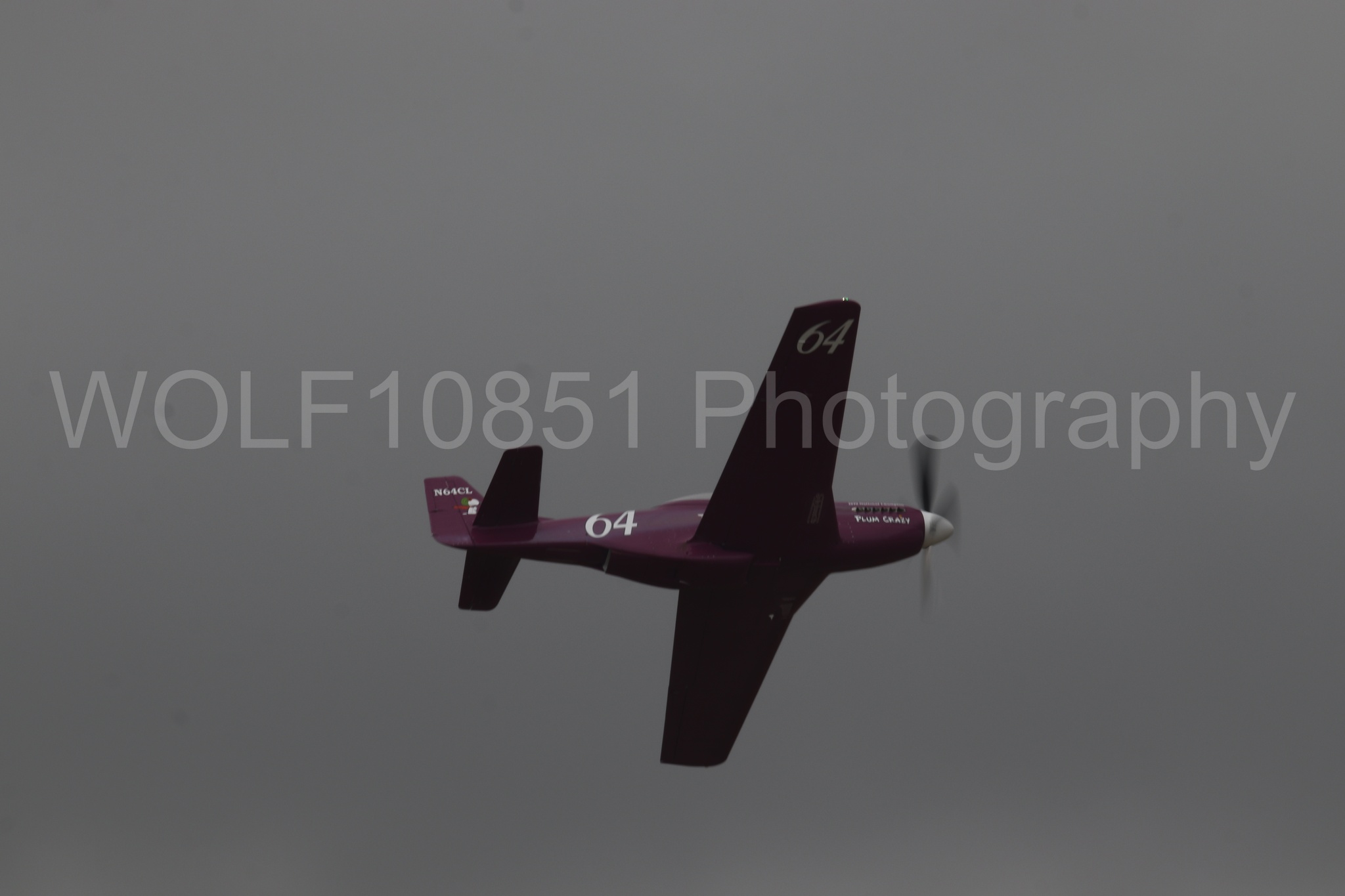 P-51 Mustang | Vicky Benzing | WOLF10851 Photography
