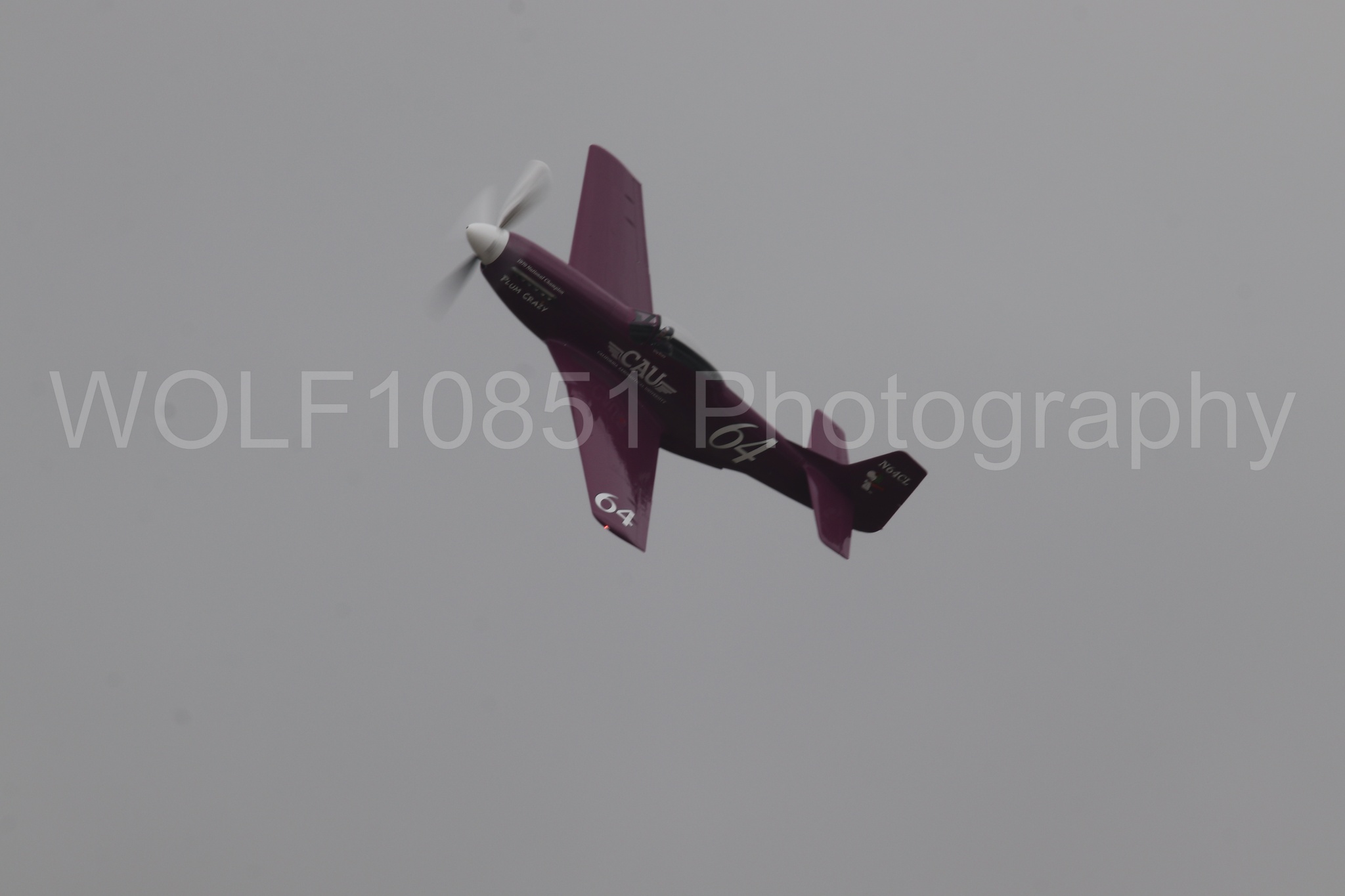 P-51 Mustang | Vicky Benzing | WOLF10851 Photography