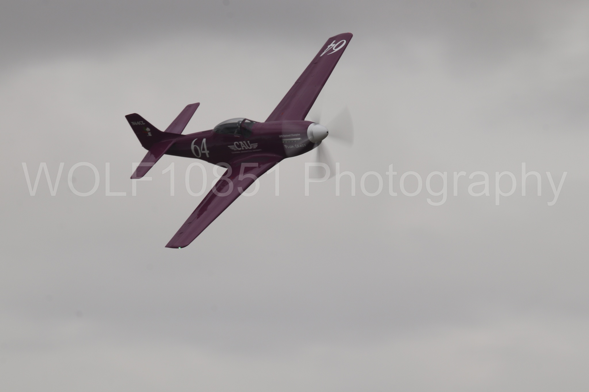 P-51 Mustang | Vicky Benzing | WOLF10851 Photography