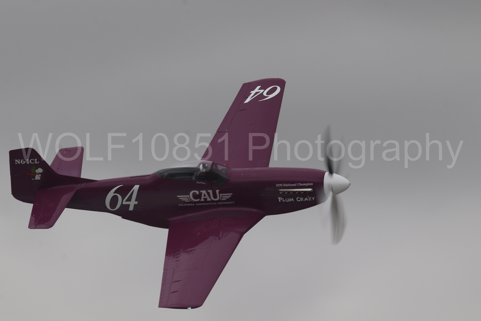 P-51 Mustang | Vicky Benzing | WOLF10851 Photography