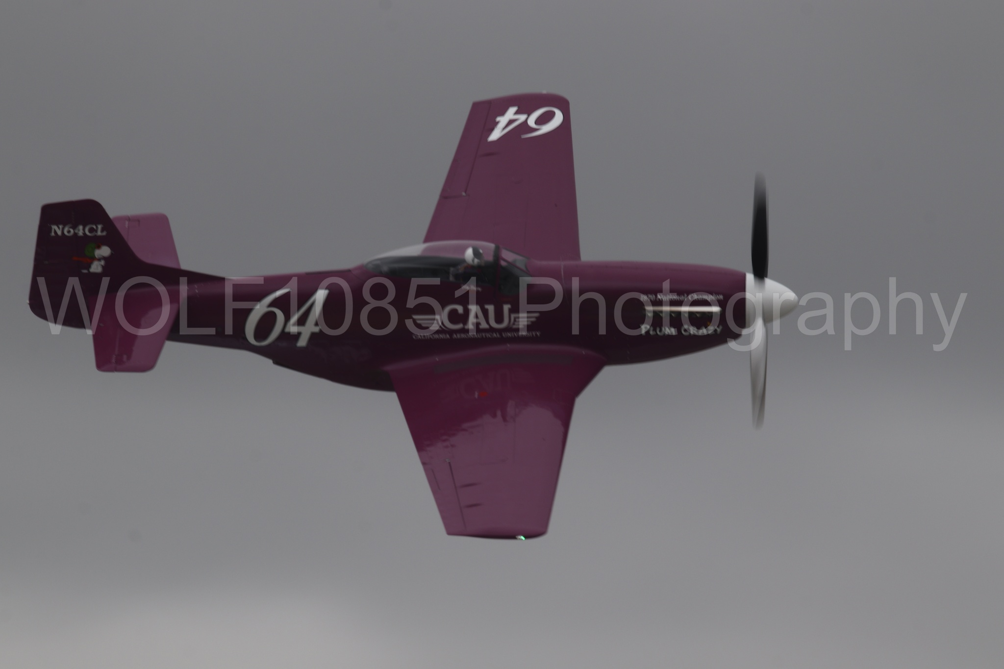 P-51 Mustang | Vicky Benzing | WOLF10851 Photography