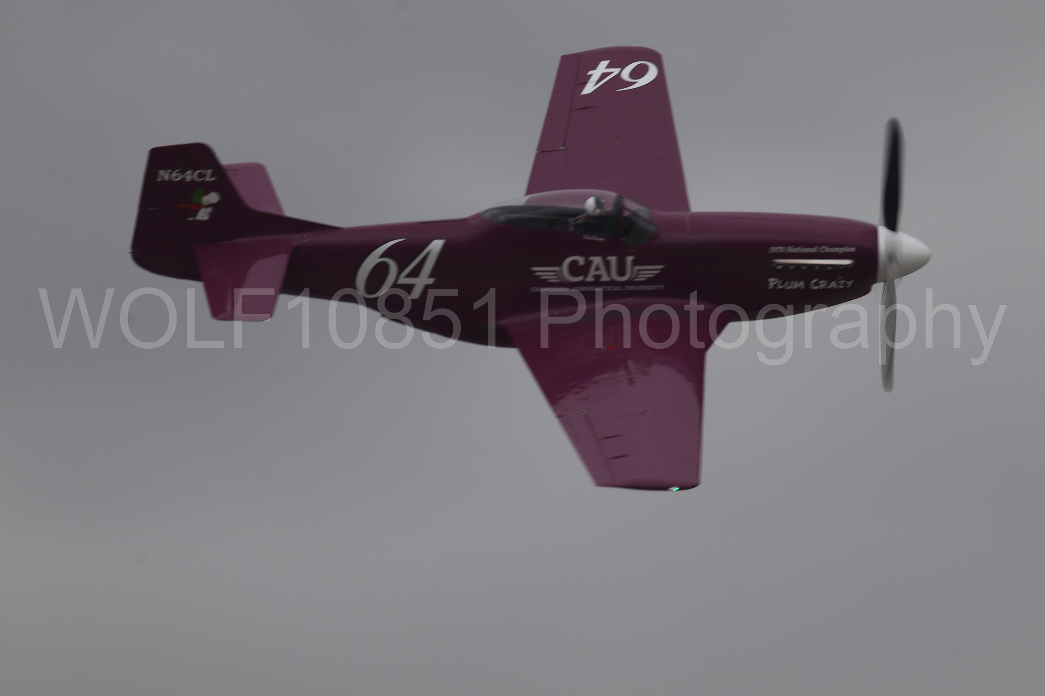 P-51 Mustang | Vicky Benzing | WOLF10851 Photography