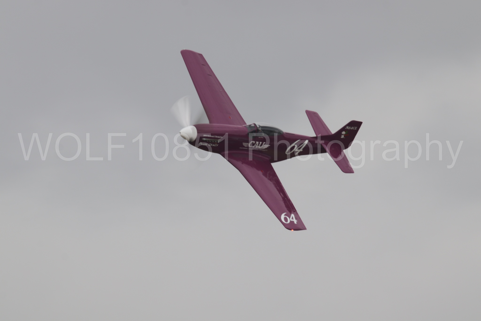 P-51 Mustang | Vicky Benzing | WOLF10851 Photography