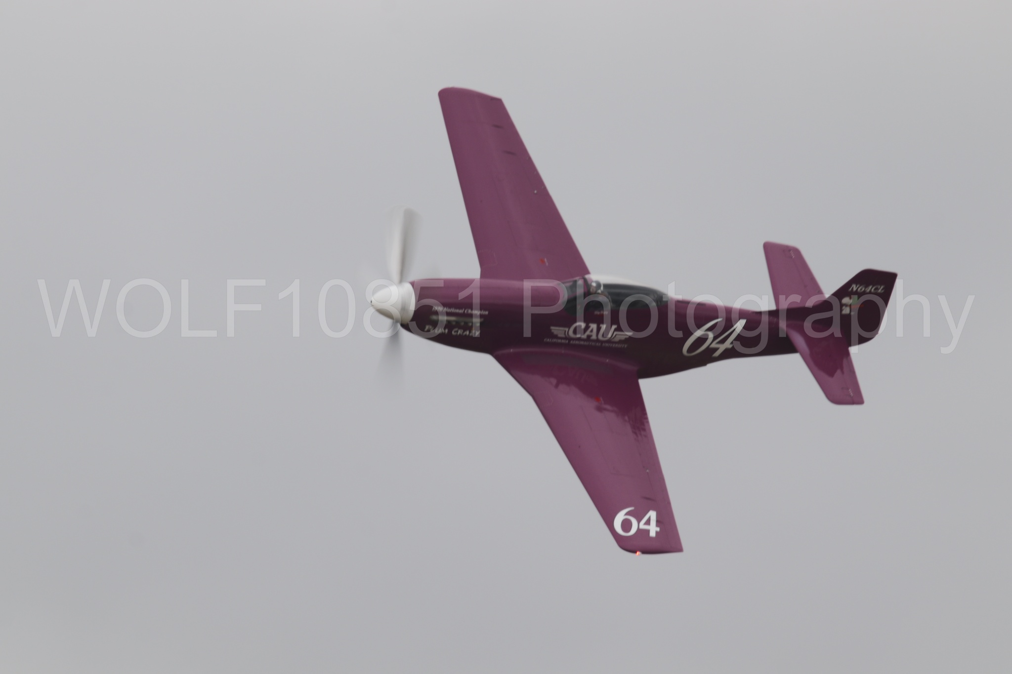 P-51 Mustang | Vicky Benzing | WOLF10851 Photography