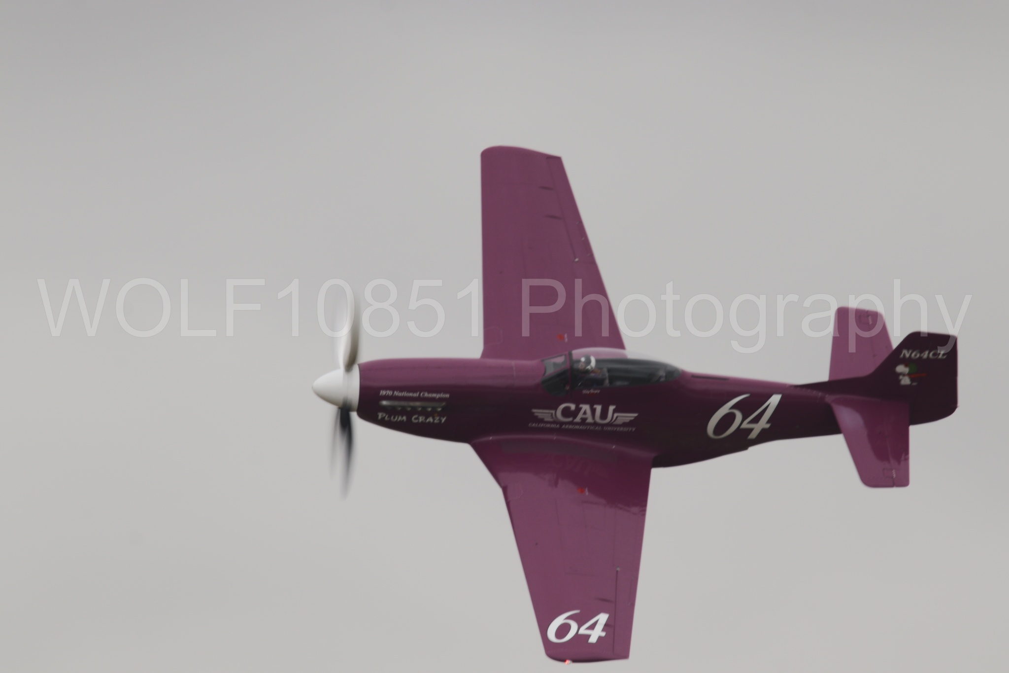 P-51 Mustang | Vicky Benzing | WOLF10851 Photography