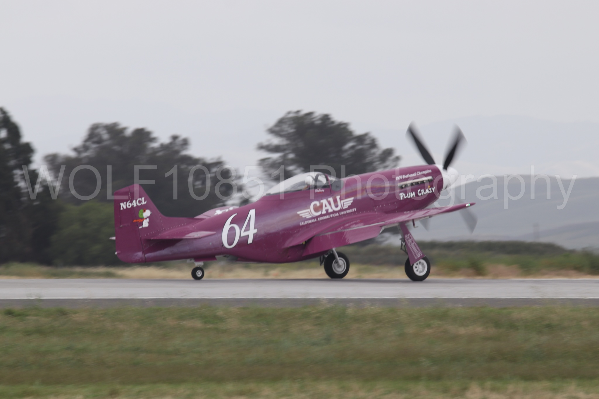 P-51 Mustang | Vicky Benzing | WOLF10851 Photography
