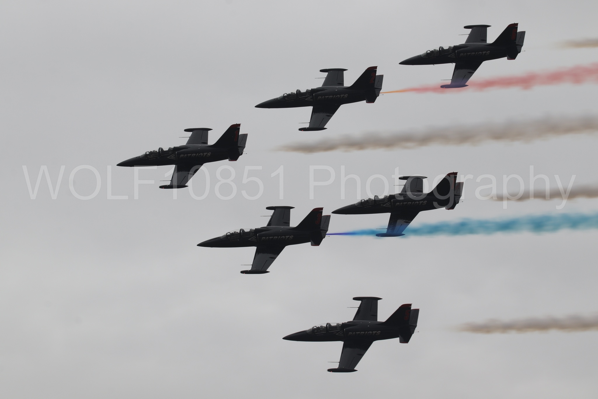 L-39 Albatros | All Black Red lettering | The Patriots Jet Demonstration Team | WOLF10851 Photography