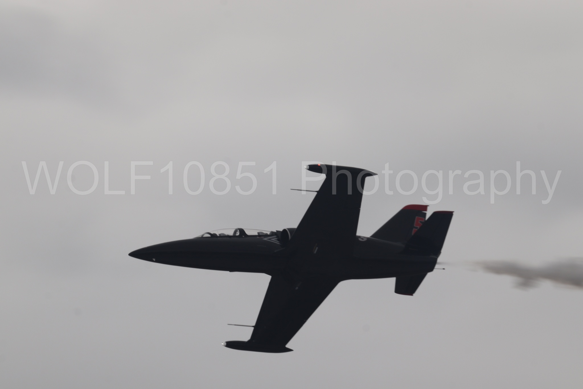 L-39 Albatros | All Black Red lettering | The Patriots Jet Demonstration Team | WOLF10851 Photography