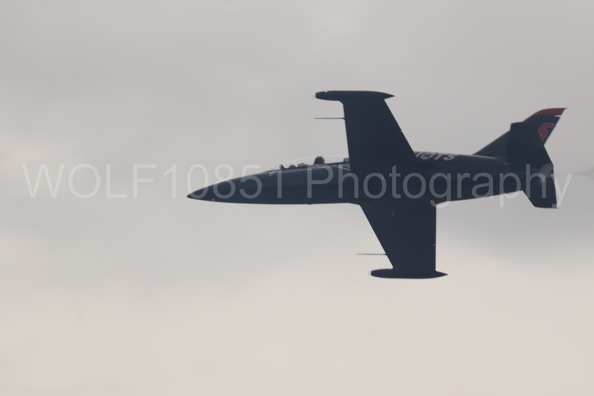 L-39 Albatros | All Black Red lettering | The Patriots Jet Demonstration Team | WOLF10851 Photography