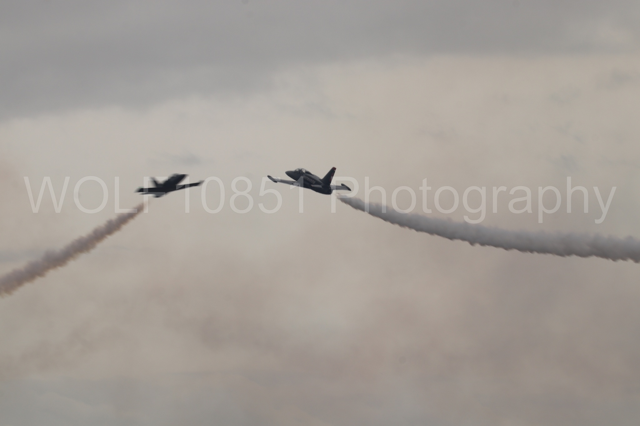 L-39 Albatros | All Black Red lettering | The Patriots Jet Demonstration Team | WOLF10851 Photography