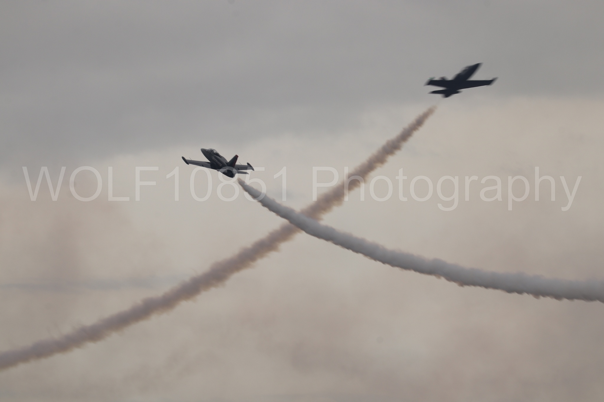 L-39 Albatros | All Black Red lettering | The Patriots Jet Demonstration Team | WOLF10851 Photography