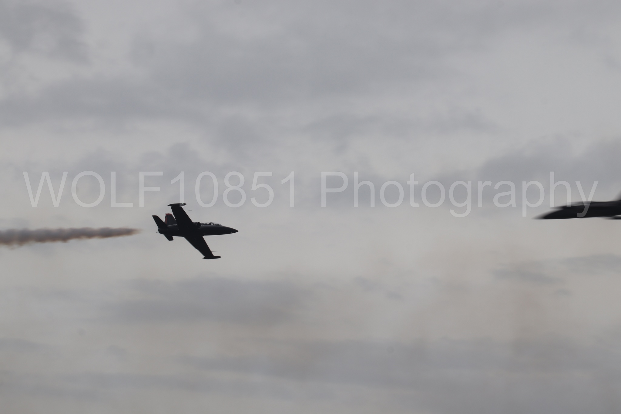 L-39 Albatros | All Black Red lettering | The Patriots Jet Demonstration Team | WOLF10851 Photography