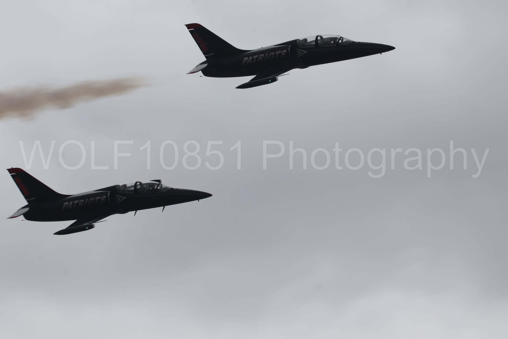 L-39 Albatros | All Black Red lettering | The Patriots Jet Demonstration Team | WOLF10851 Photography
