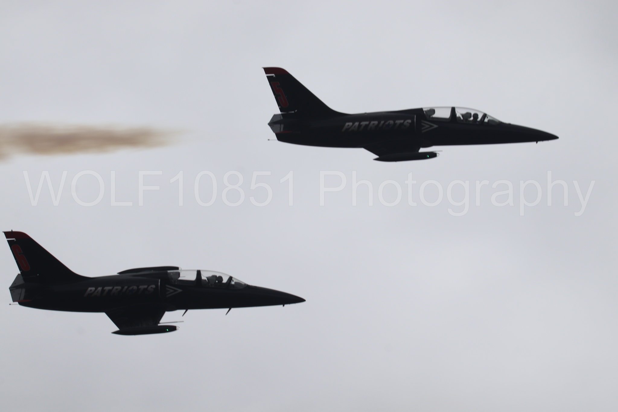 L-39 Albatros | All Black Red lettering | The Patriots Jet Demonstration Team | WOLF10851 Photography