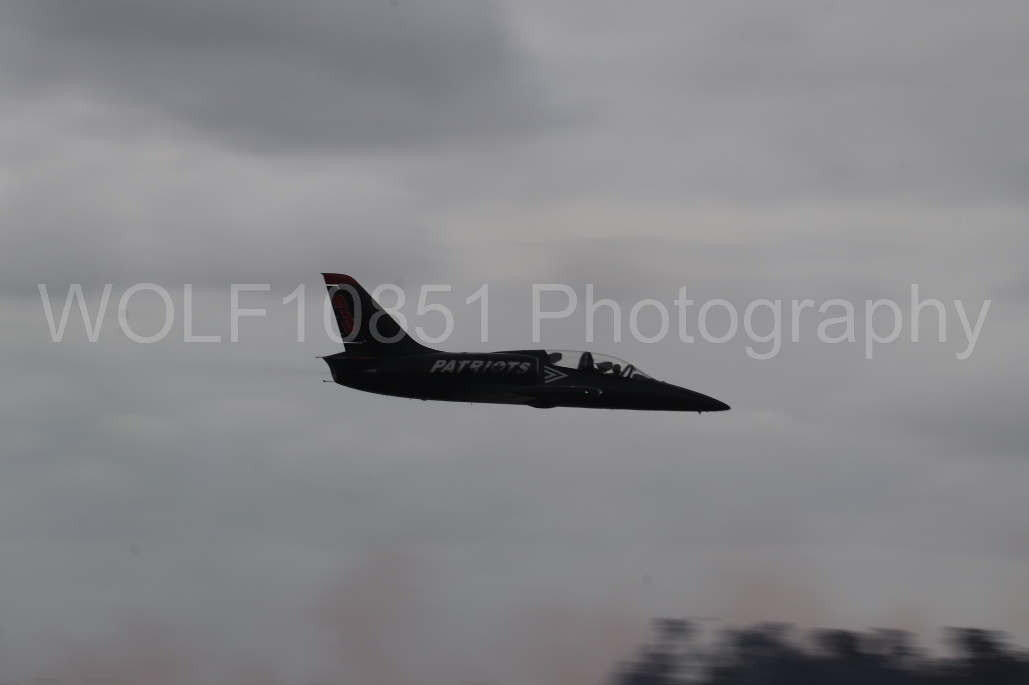 L-39 Albatros | All Black Red lettering | The Patriots Jet Demonstration Team | WOLF10851 Photography