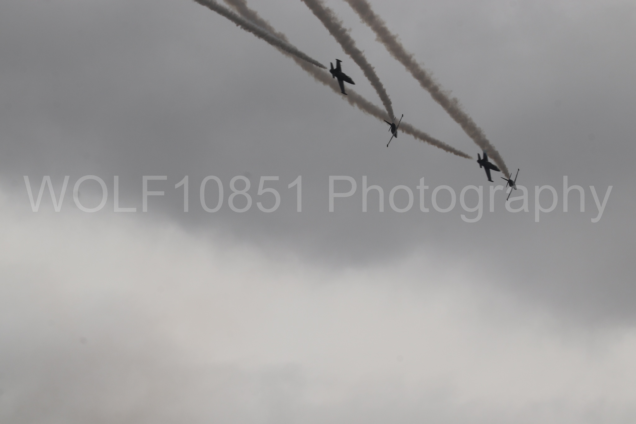 L-39 Albatros | All Black Red lettering | The Patriots Jet Demonstration Team | WOLF10851 Photography