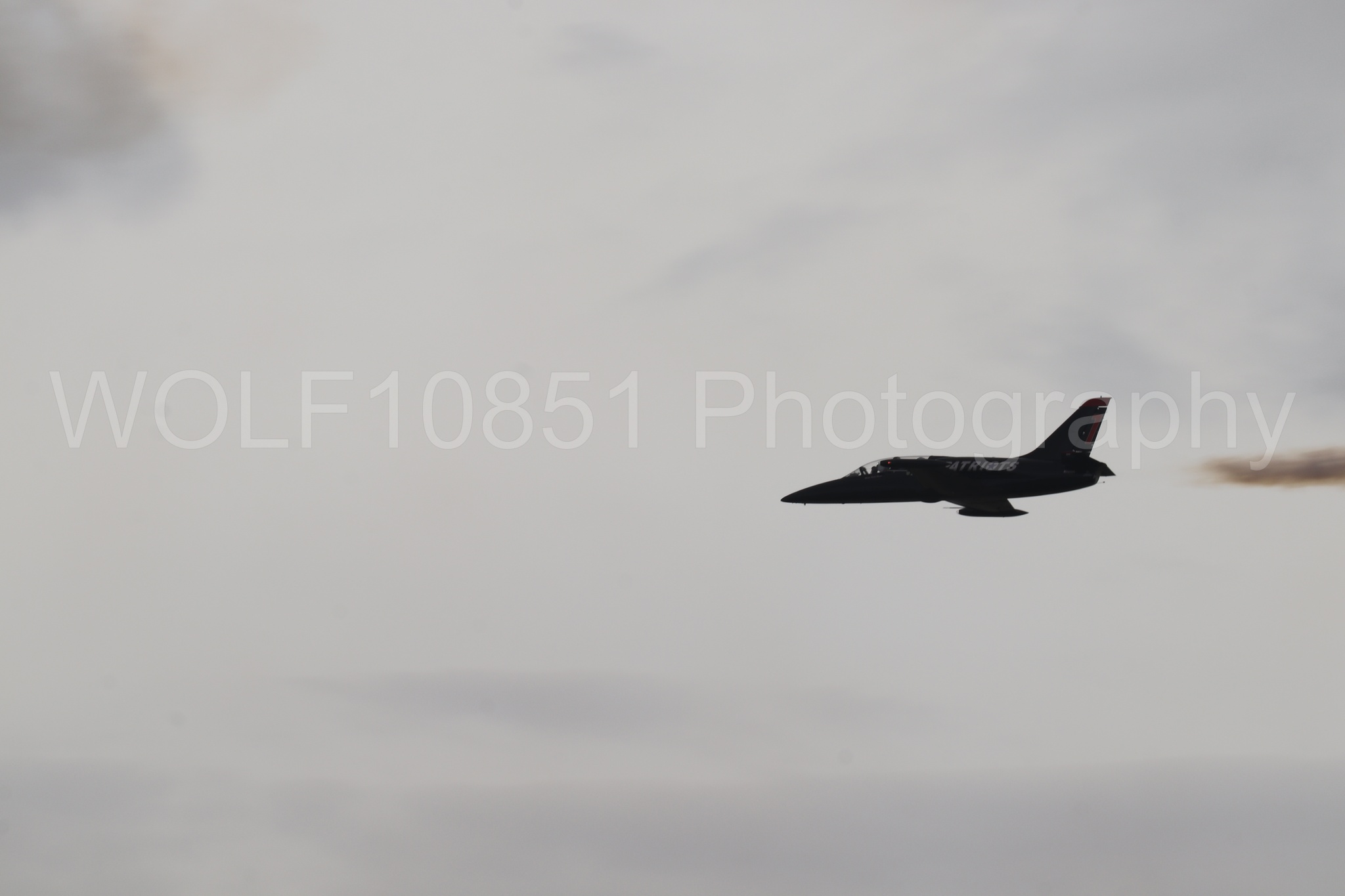 L-39 Albatros | All Black Red lettering | The Patriots Jet Demonstration Team | WOLF10851 Photography