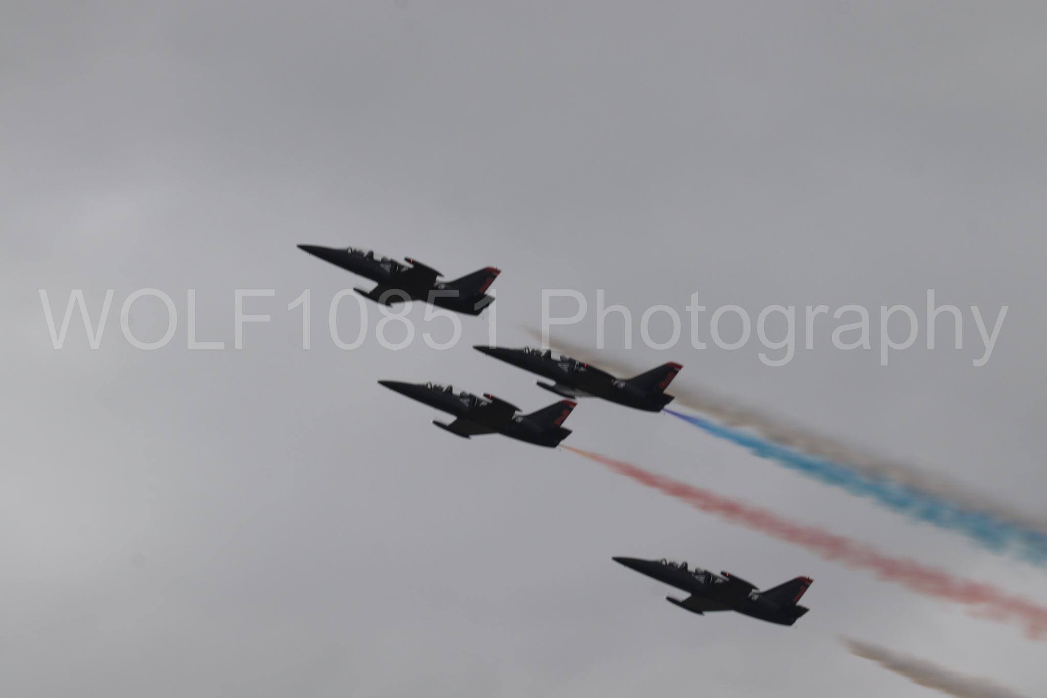 L-39 Albatros | All Black Red lettering | The Patriots Jet Demonstration Team | WOLF10851 Photography